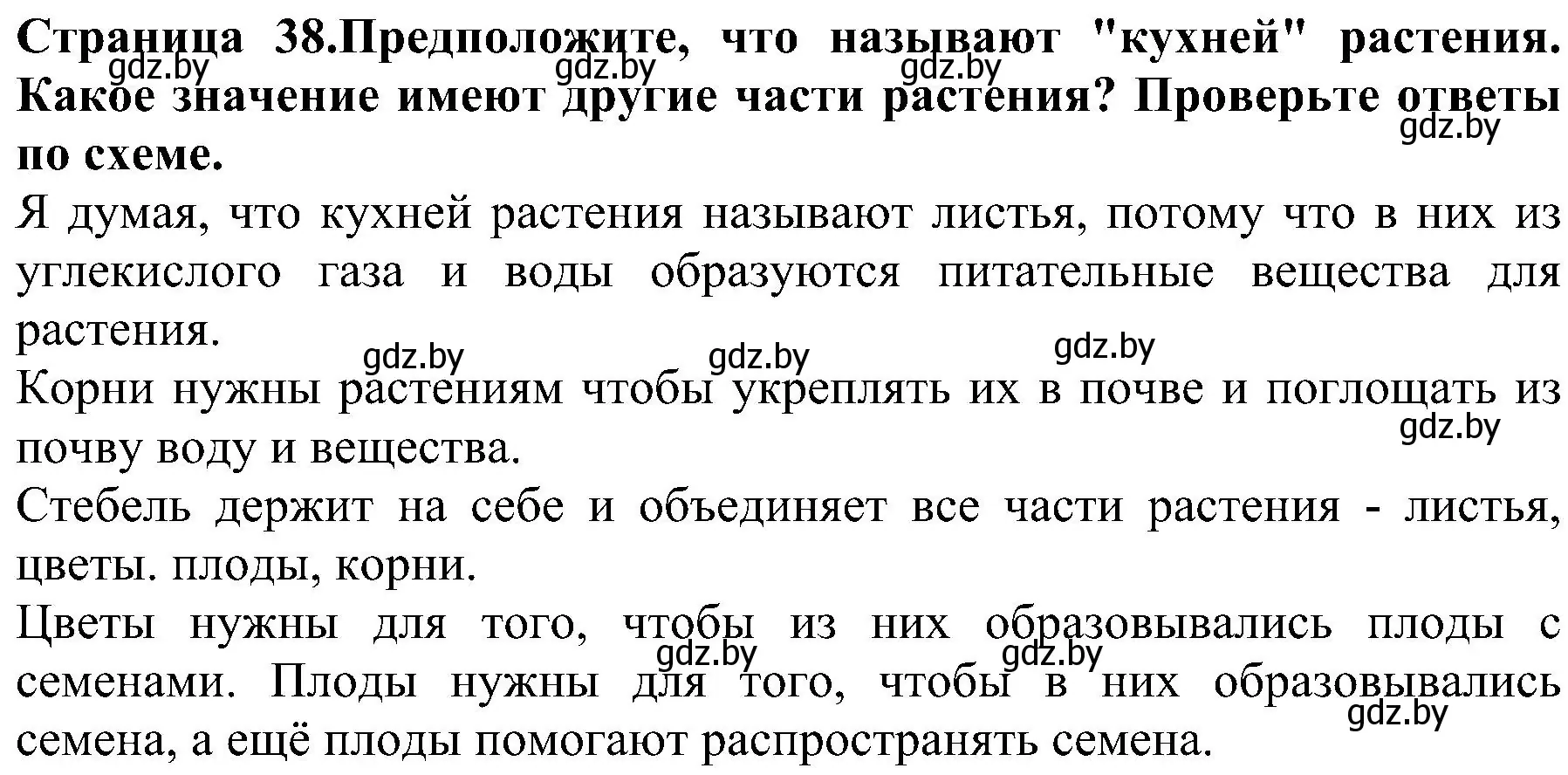 Решение номер 4 (страница 38) гдз по человек и миру 2 класс Трафимова, Трафимов, учебник