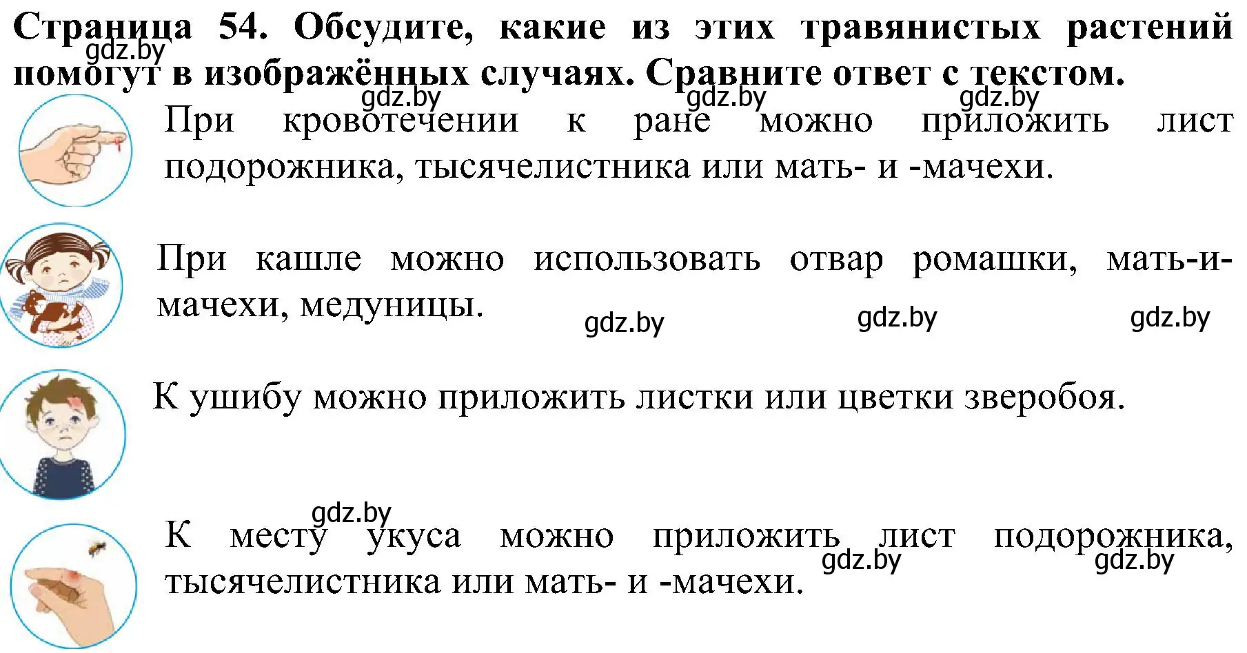 Решение номер 3 (страница 54) гдз по человек и миру 2 класс Трафимова, Трафимов, учебник