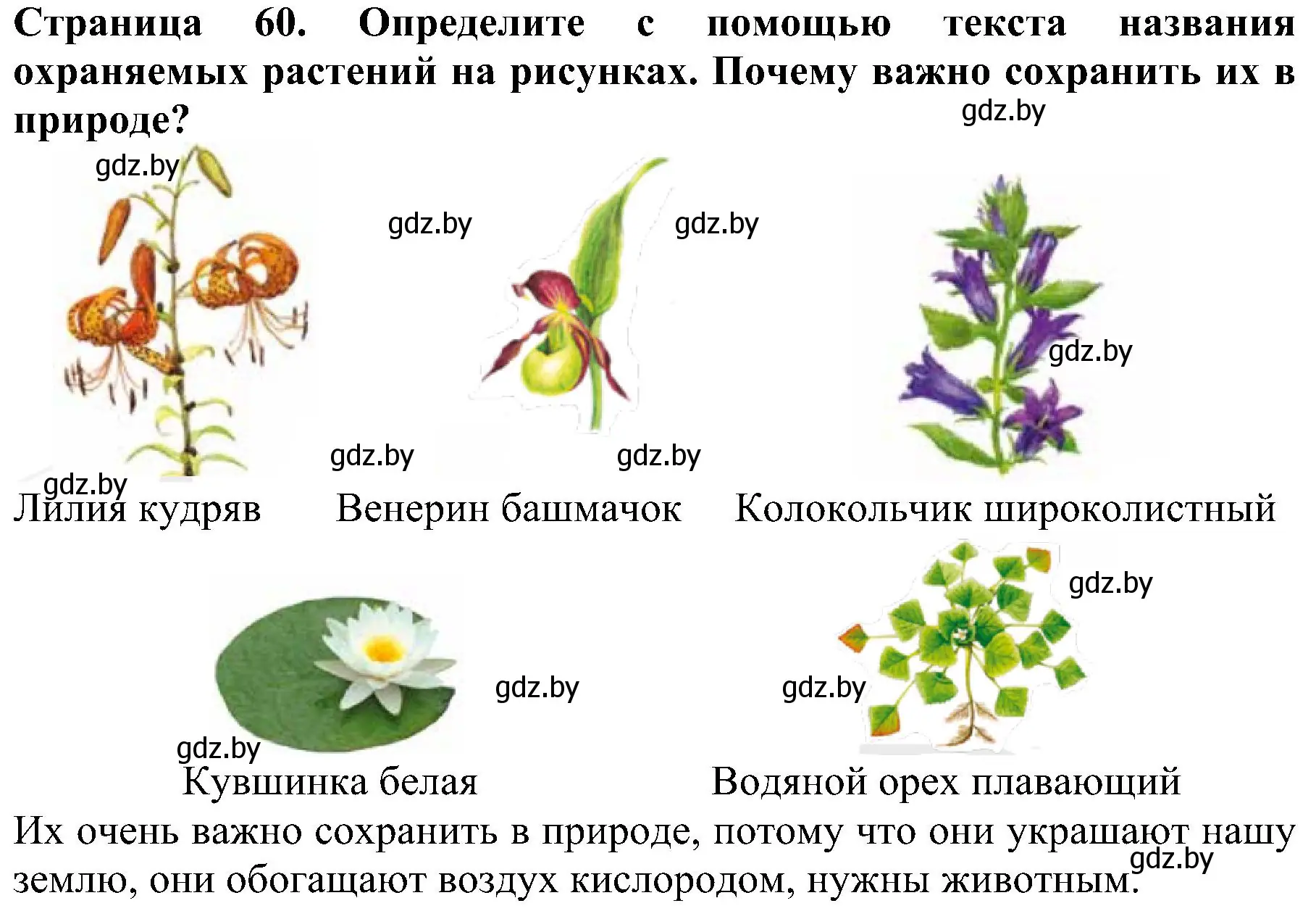 Решение номер 2 (страница 60) гдз по человек и миру 2 класс Трафимова, Трафимов, учебник