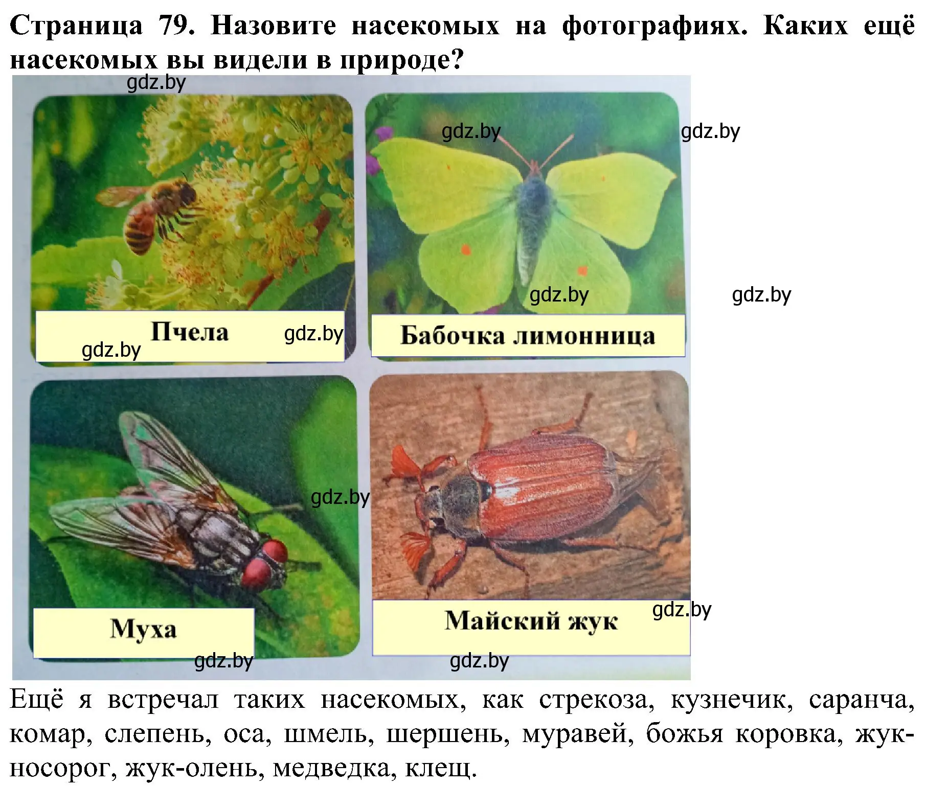 Решение номер 4 (страница 79) гдз по человек и миру 2 класс Трафимова, Трафимов, учебник