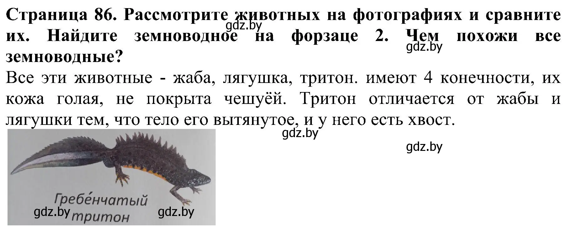 Решение номер 2 (страница 86) гдз по человек и миру 2 класс Трафимова, Трафимов, учебник