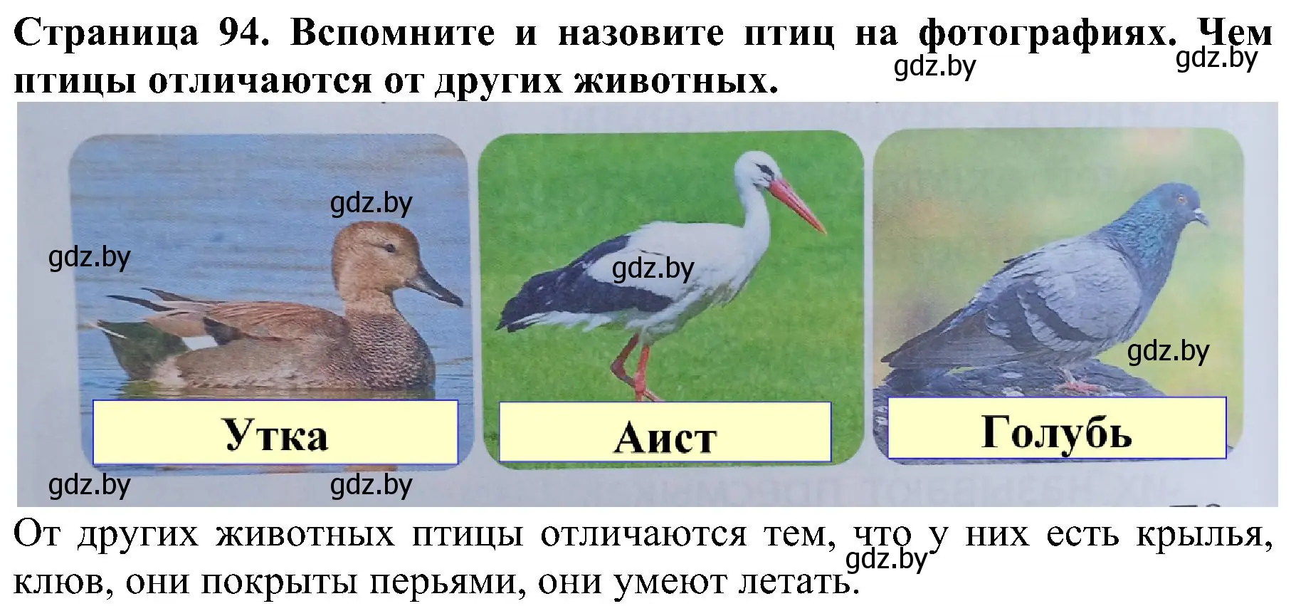 Решение номер 1 (страница 94) гдз по человек и миру 2 класс Трафимова, Трафимов, учебник