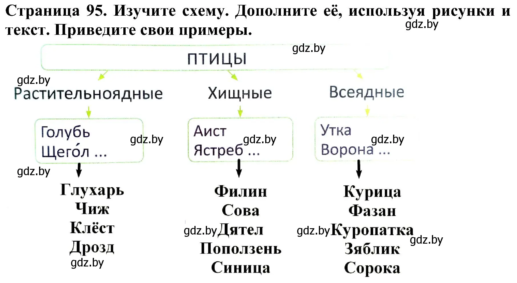 Решение номер 2 (страница 95) гдз по человек и миру 2 класс Трафимова, Трафимов, учебник