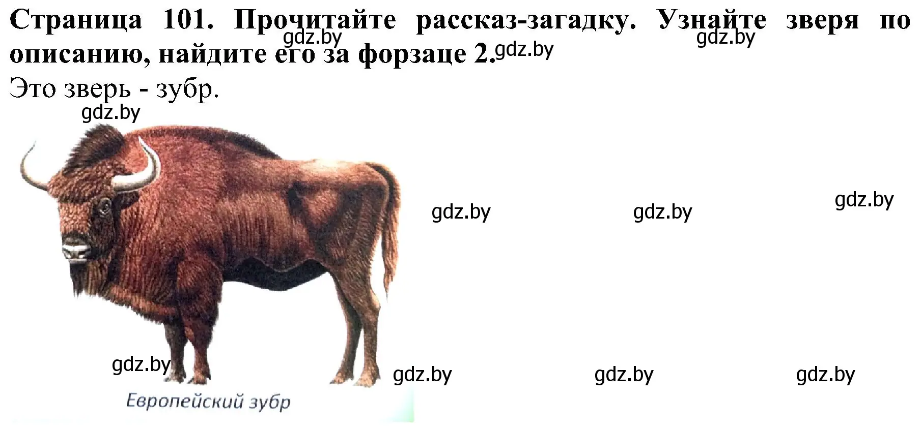 Решение номер 6 (страница 101) гдз по человек и миру 2 класс Трафимова, Трафимов, учебник