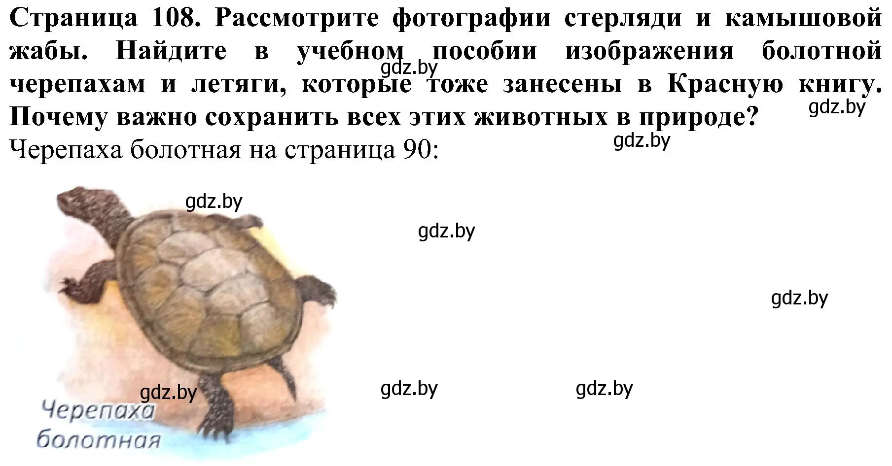 Решение номер 3 (страница 108) гдз по человек и миру 2 класс Трафимова, Трафимов, учебник