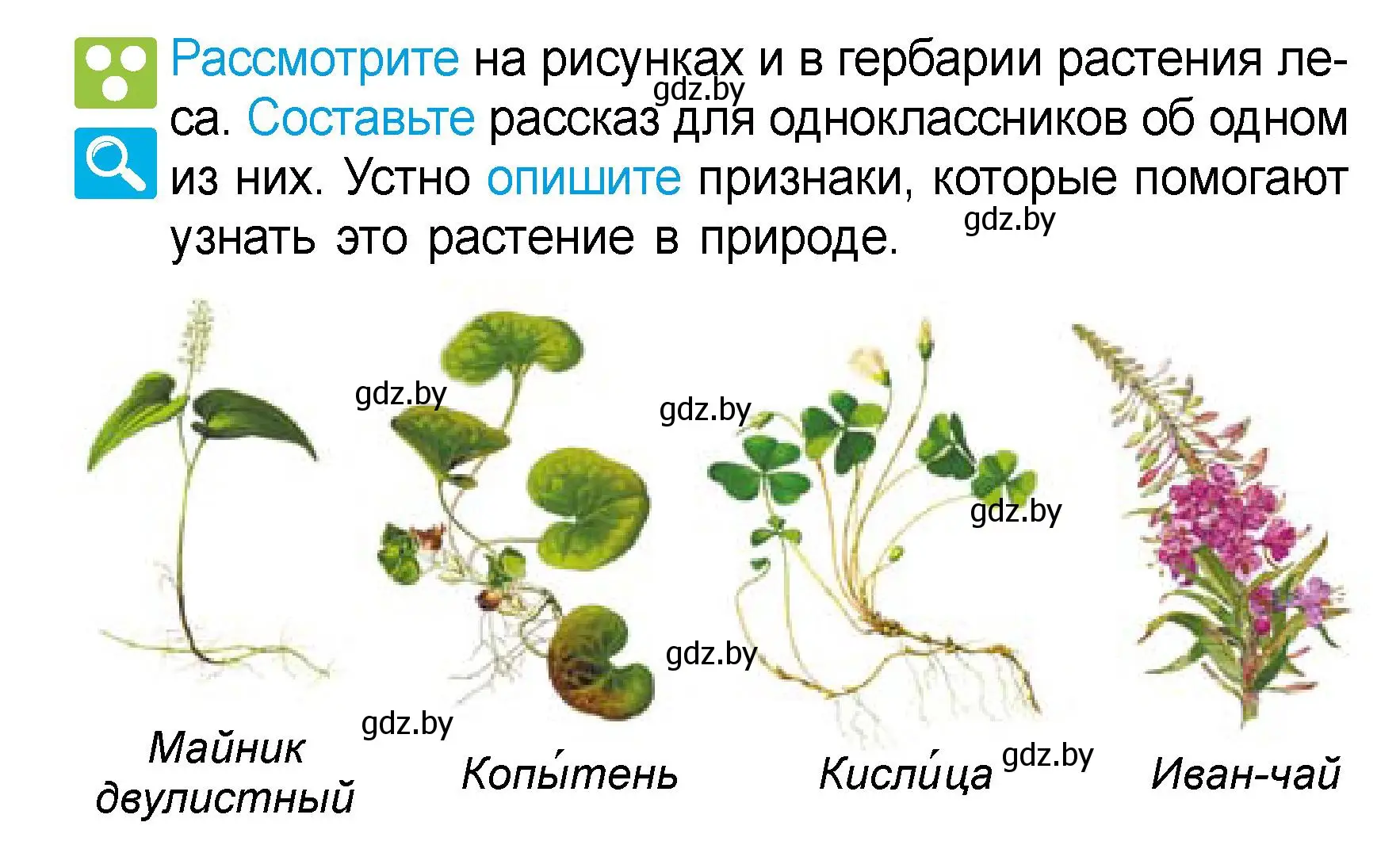 Условие  Рассмотрите (страница 42) гдз по человек и миру 3 класс Трафимова, Трафимов, учебное пособие