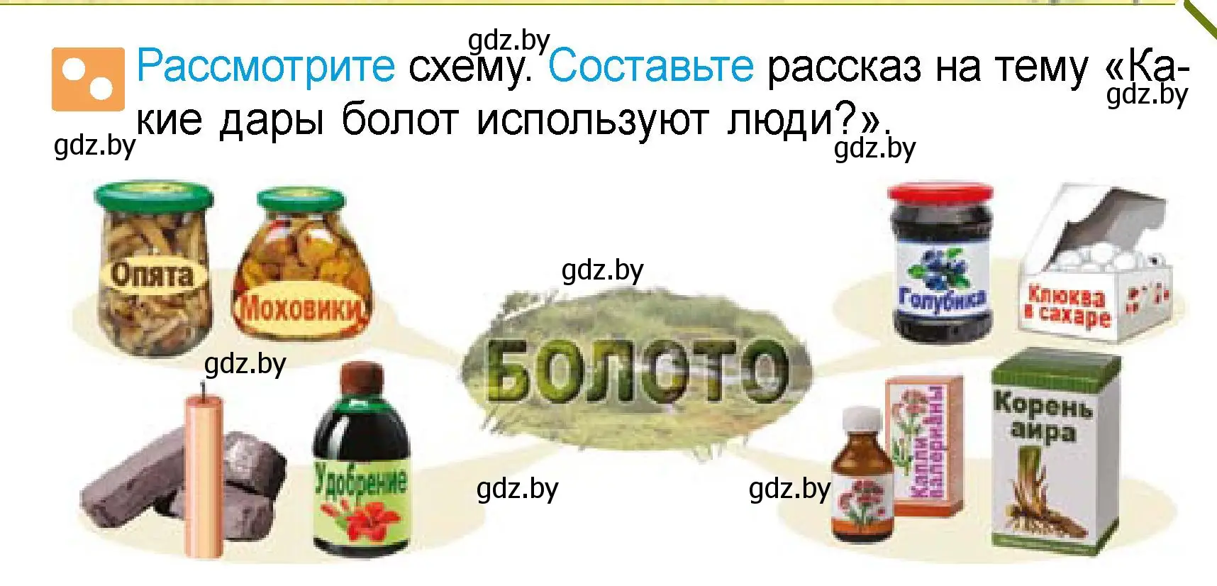 Условие  Рассмотрите (страница 65) гдз по человек и миру 3 класс Трафимова, Трафимов, учебное пособие