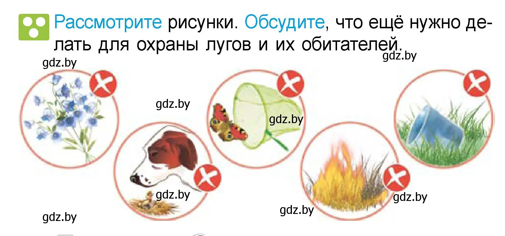 Условие  Рассмотрите (страница 72) гдз по человек и миру 3 класс Трафимова, Трафимов, учебное пособие