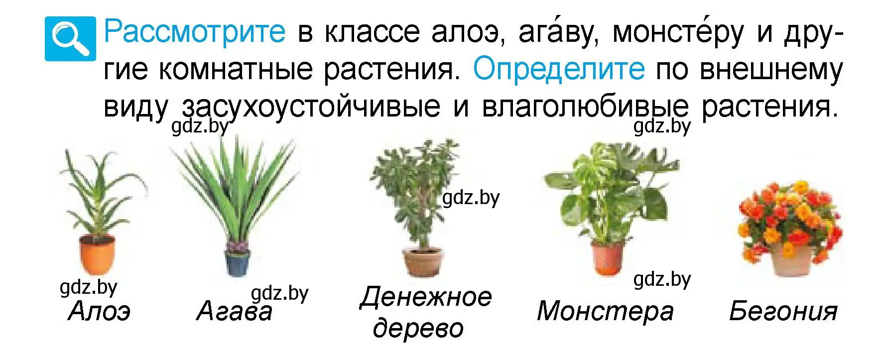 Условие  Рассмотрите (страница 85) гдз по человек и миру 3 класс Трафимова, Трафимов, учебное пособие