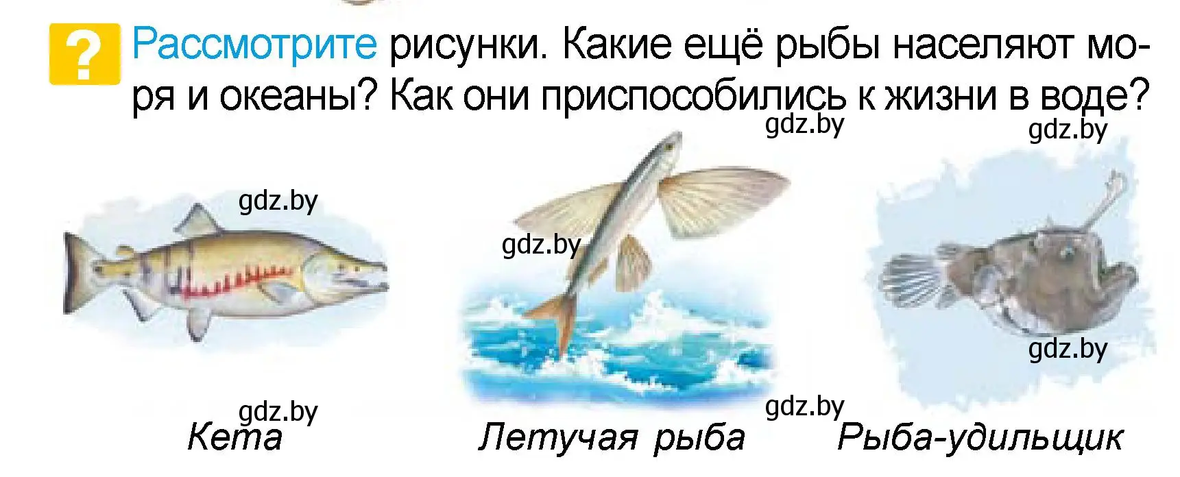 Условие  Рассмотрите (страница 97) гдз по человек и миру 3 класс Трафимова, Трафимов, учебное пособие