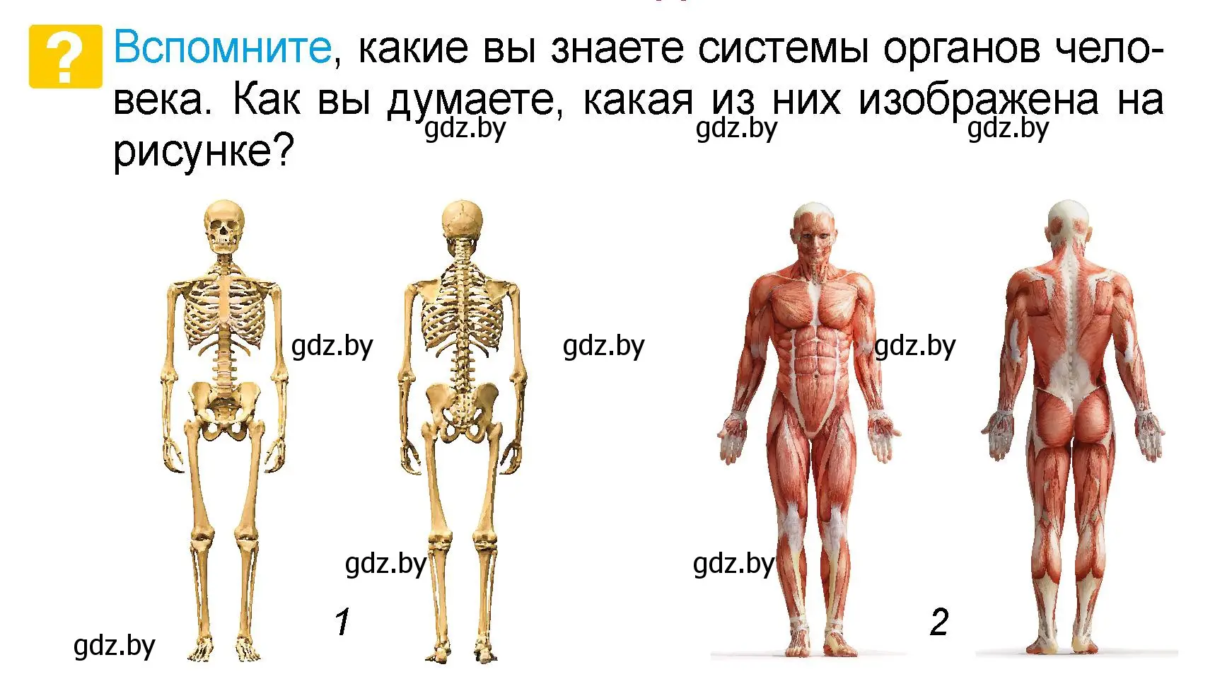 Условие  Вспомните (страница 107) гдз по человек и миру 3 класс Трафимова, Трафимов, учебное пособие