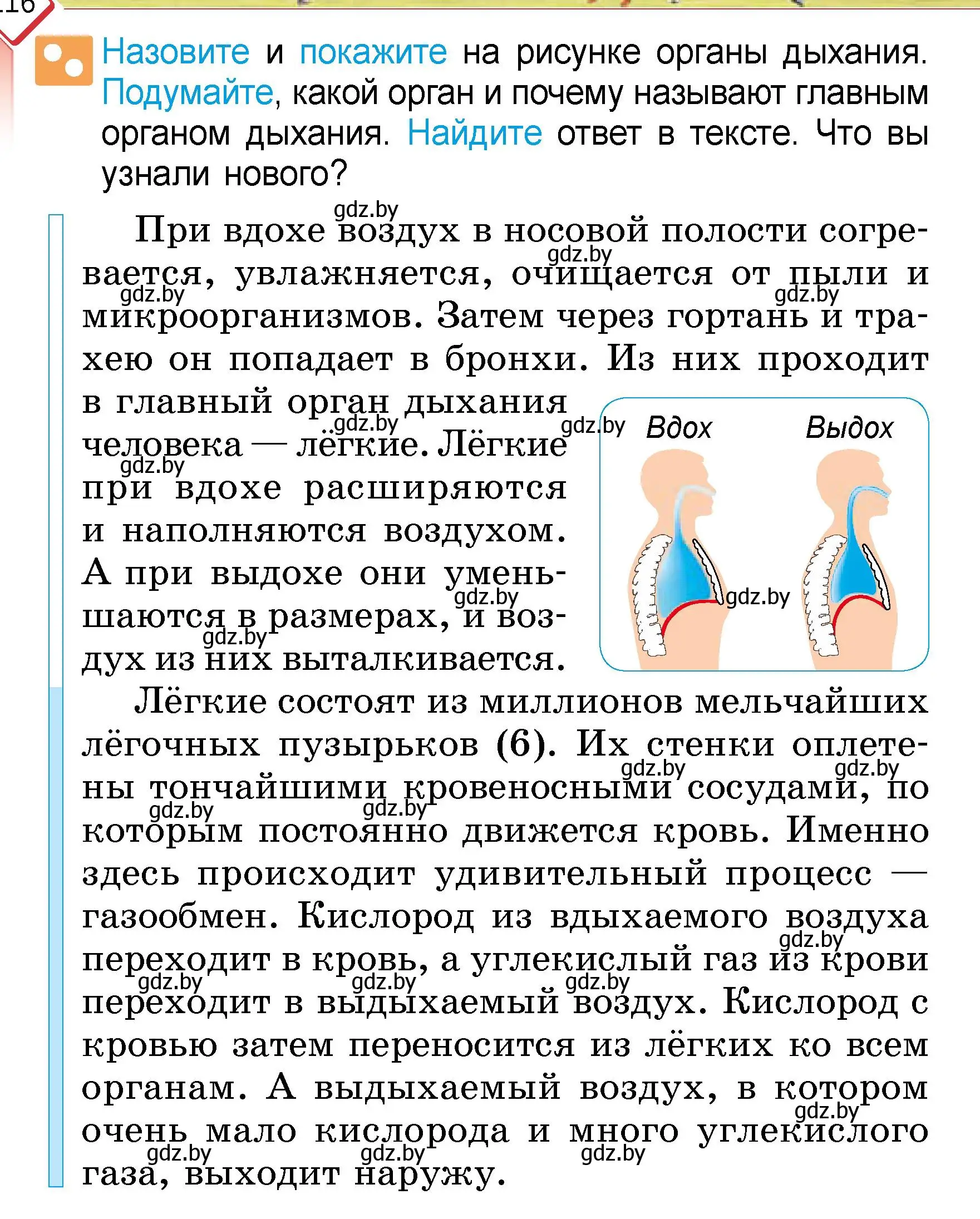 Условие  Назовите и покажите (страница 116) гдз по человек и миру 3 класс Трафимова, Трафимов, учебное пособие