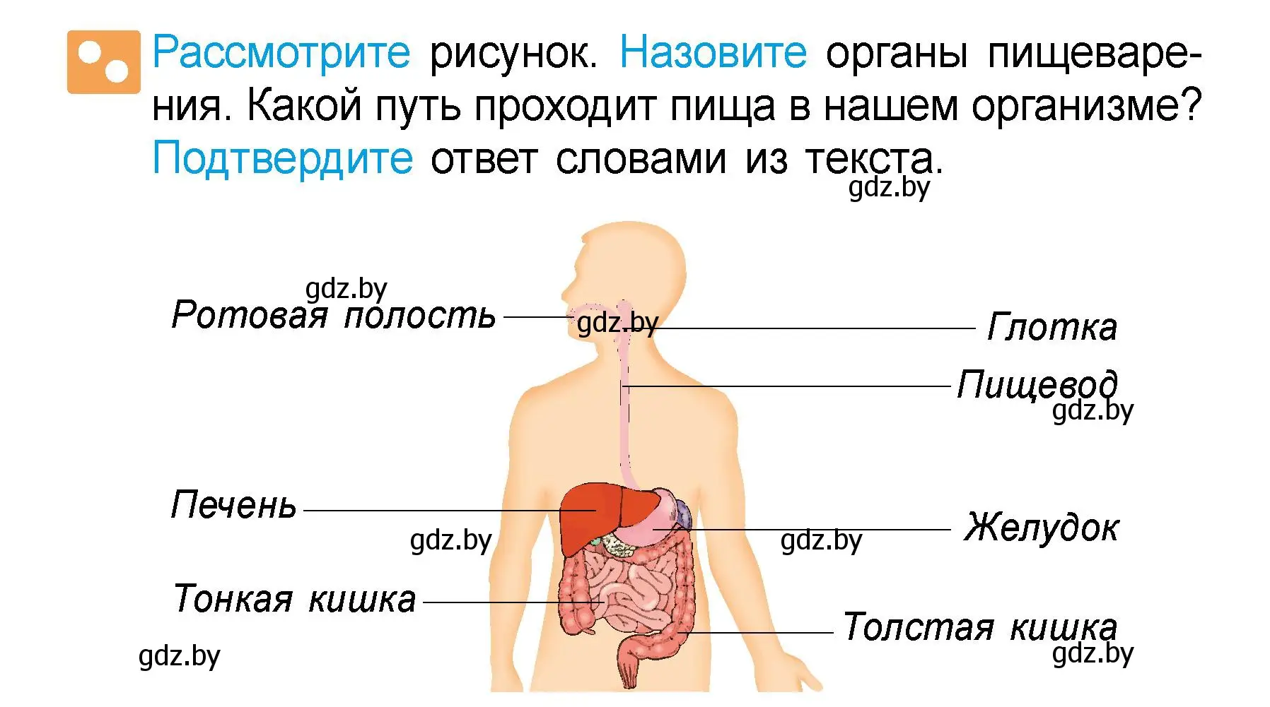 Условие  Рассмотрите (страница 120) гдз по человек и миру 3 класс Трафимова, Трафимов, учебное пособие