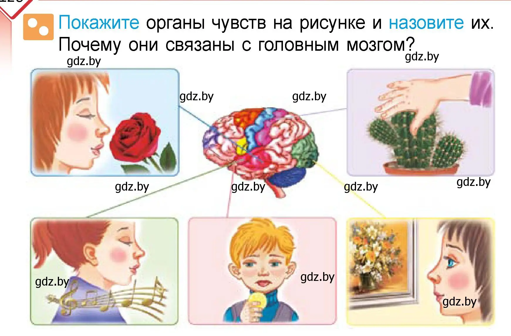 Условие  Покажите (страница 128) гдз по человек и миру 3 класс Трафимова, Трафимов, учебное пособие