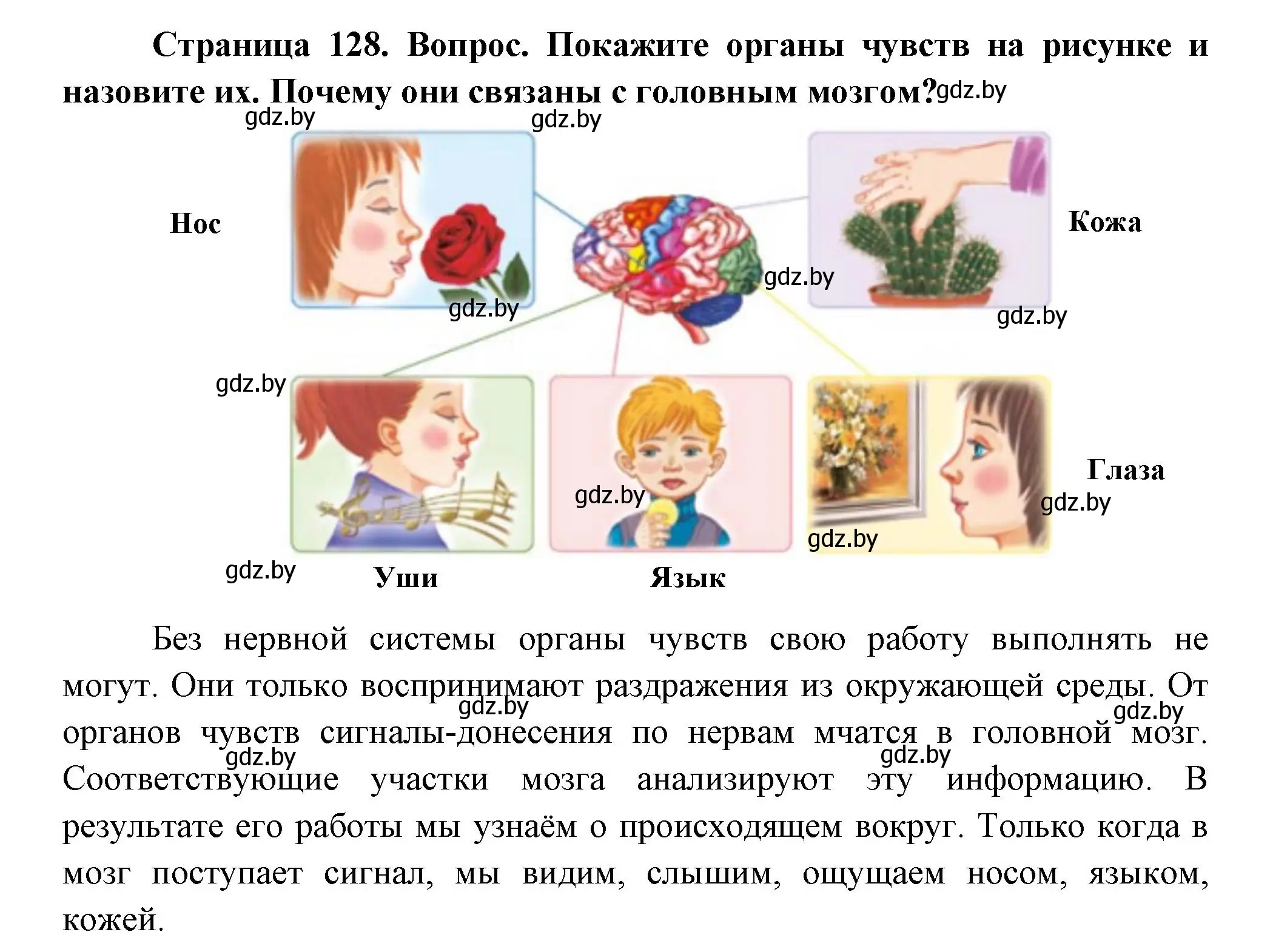 Решение  Покажите (страница 128) гдз по человек и миру 3 класс Трафимова, Трафимов, учебное пособие