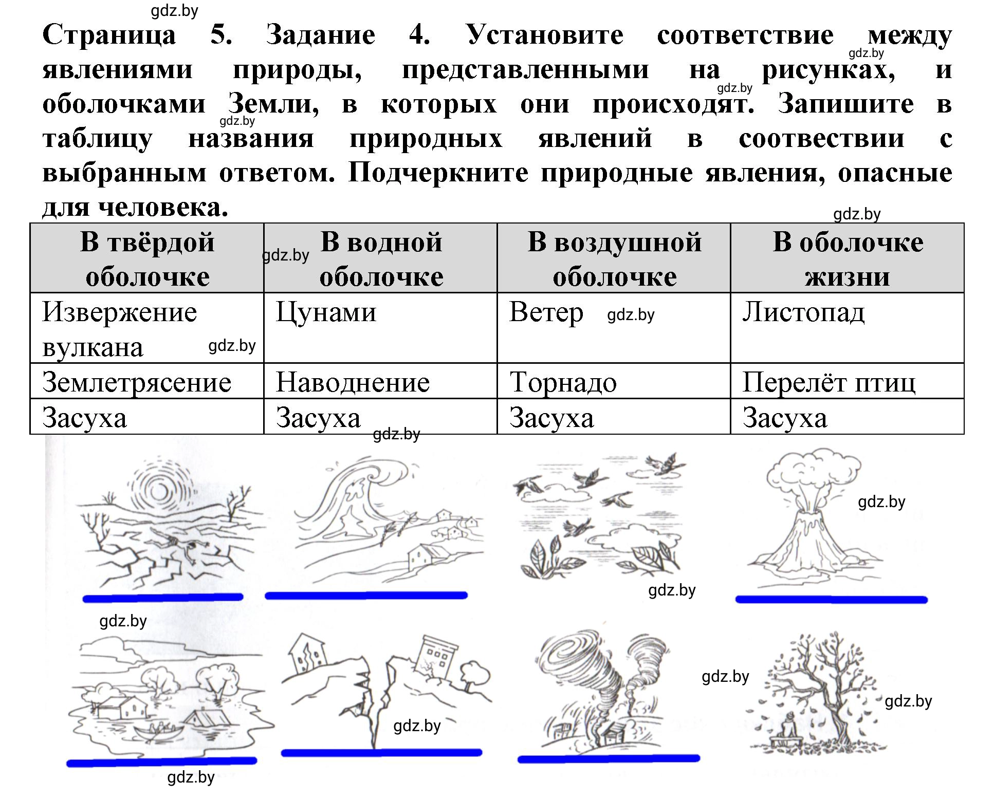 Решение номер 4 (страница 5) гдз по человек и миру 5 класс Кольмакова, Сарычева, рабочая тетрадь