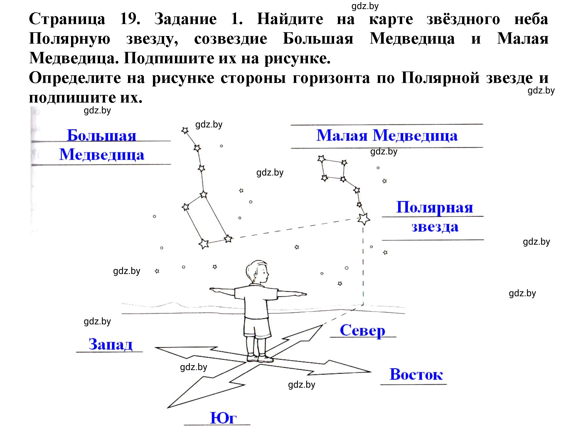 Решение номер 1 (страница 19) гдз по человек и миру 5 класс Кольмакова, Сарычева, рабочая тетрадь