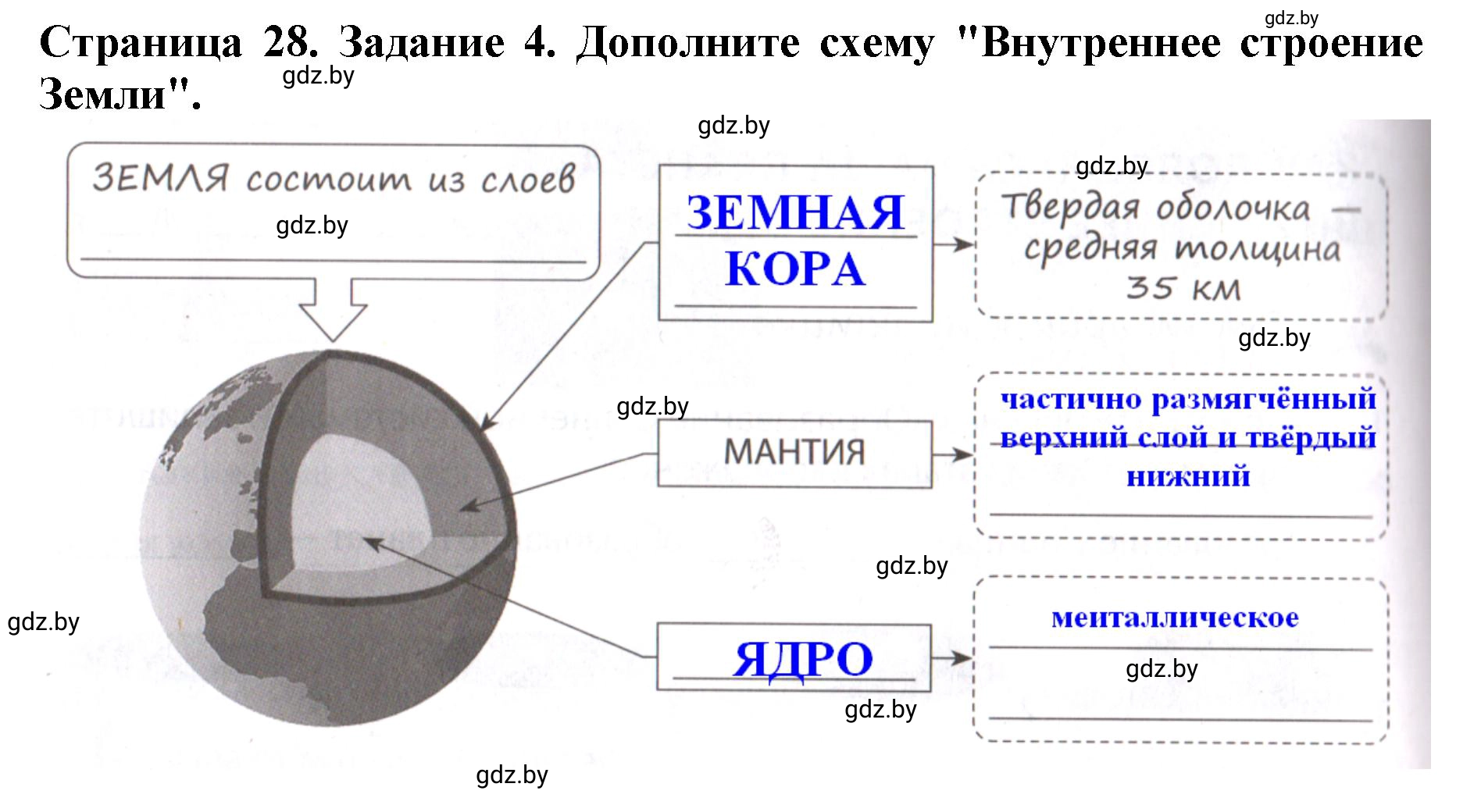 Решение номер 4 (страница 28) гдз по человек и миру 5 класс Кольмакова, Сарычева, рабочая тетрадь