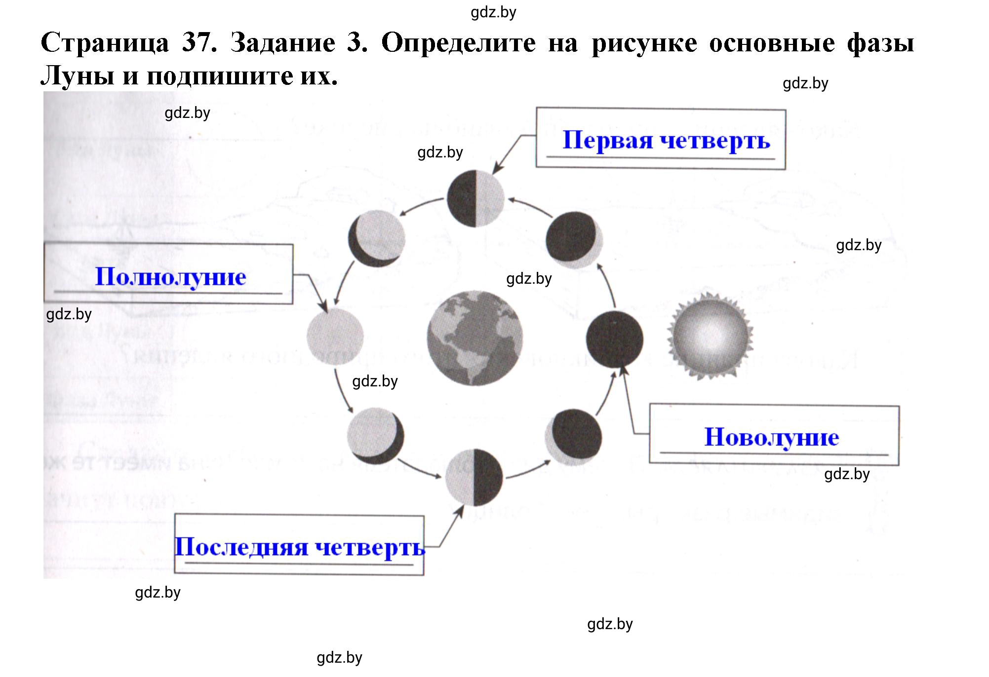 Решение номер 3 (страница 37) гдз по человек и миру 5 класс Кольмакова, Сарычева, рабочая тетрадь