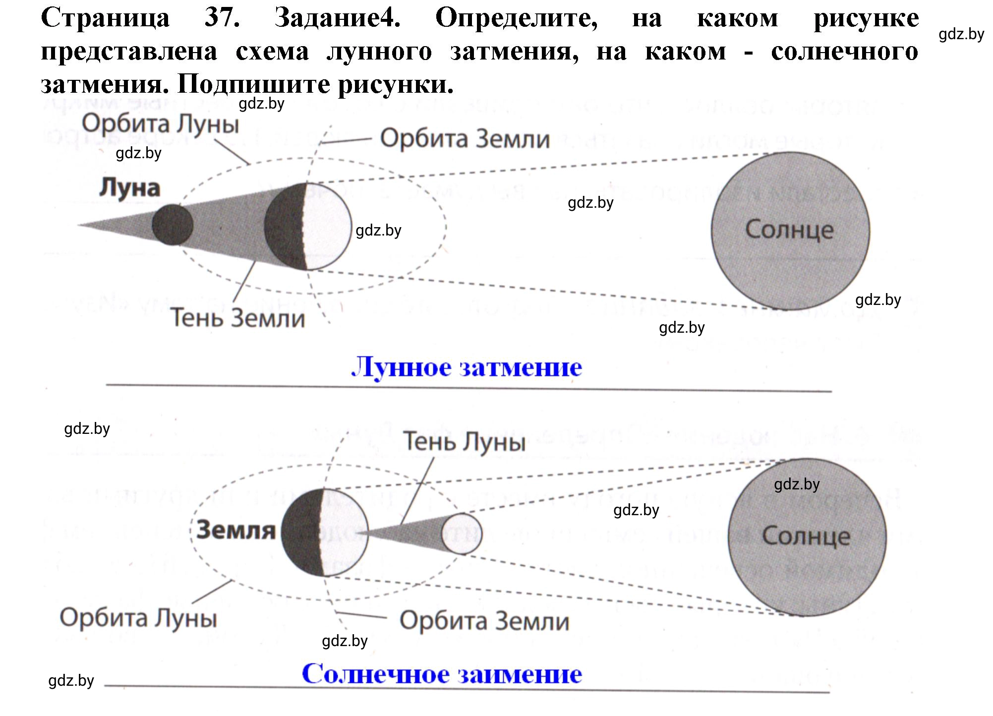 Решение номер 4 (страница 37) гдз по человек и миру 5 класс Кольмакова, Сарычева, рабочая тетрадь