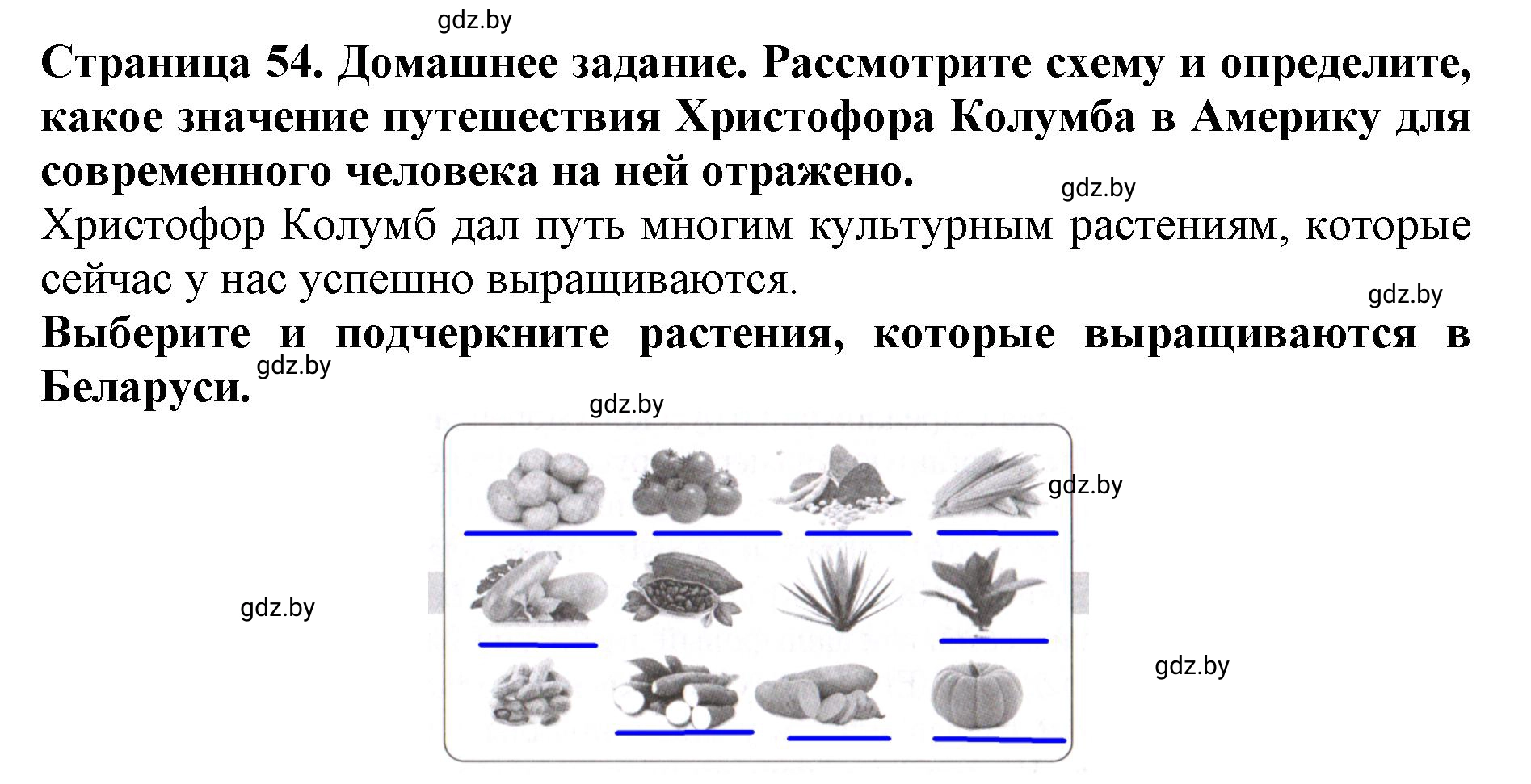 Решение  Домашнее задание (страница 54) гдз по человек и миру 5 класс Кольмакова, Сарычева, рабочая тетрадь