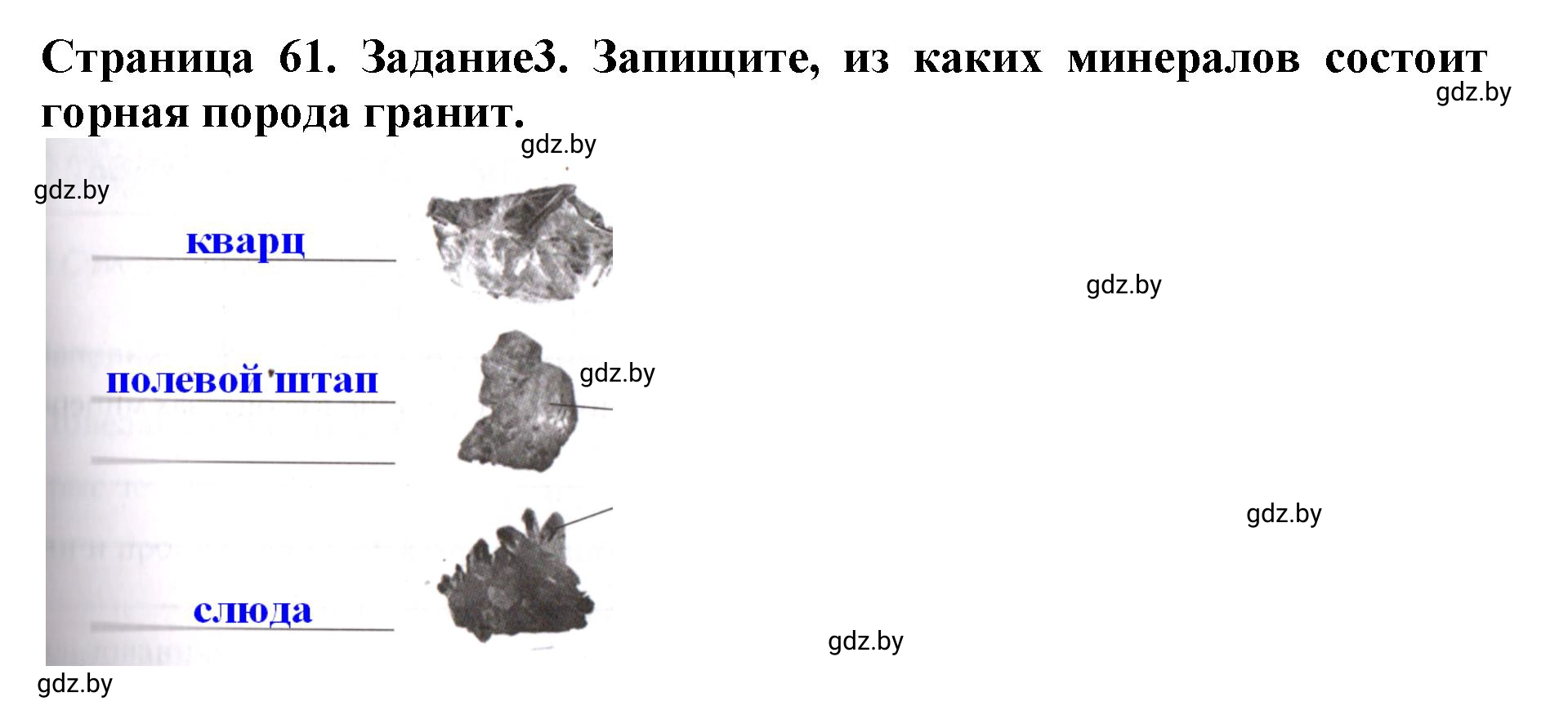 Решение номер 3 (страница 61) гдз по человек и миру 5 класс Кольмакова, Сарычева, рабочая тетрадь