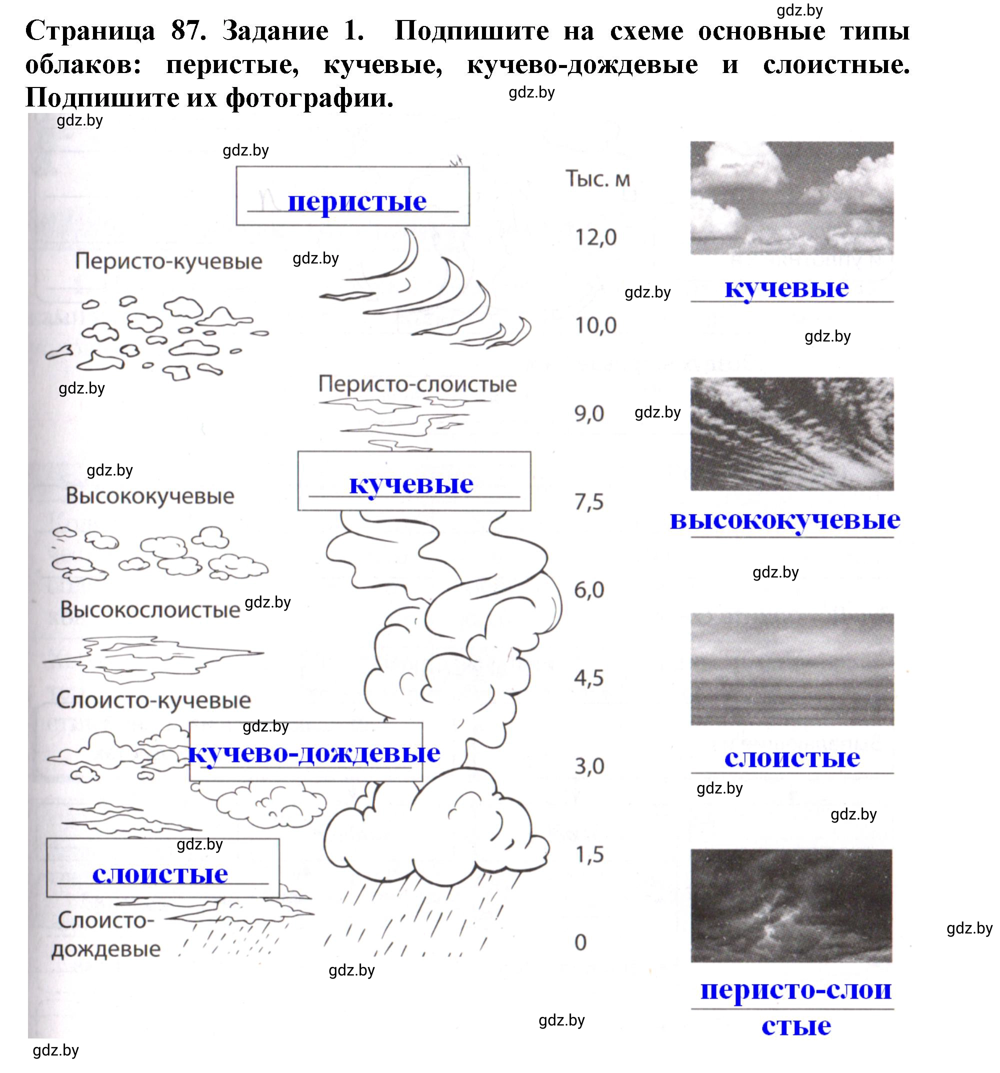 Решение номер 1 (страница 87) гдз по человек и миру 5 класс Кольмакова, Сарычева, рабочая тетрадь