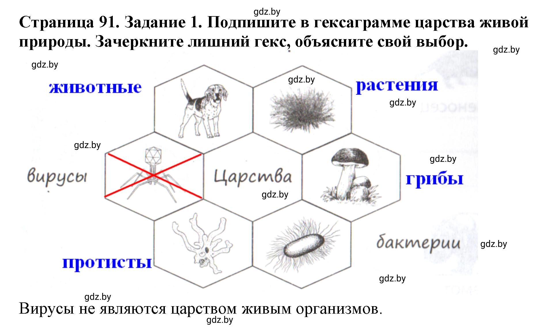 Решение номер 1 (страница 93) гдз по человек и миру 5 класс Кольмакова, Сарычева, рабочая тетрадь