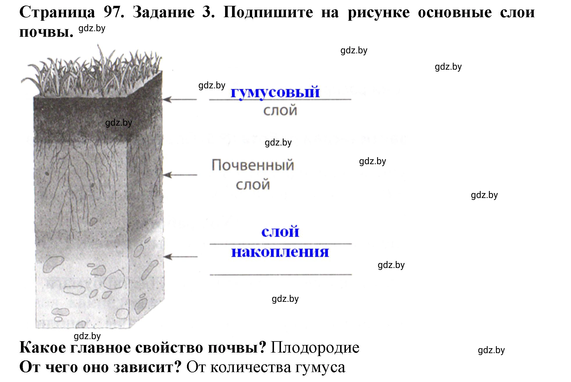 Решение номер 3 (страница 97) гдз по человек и миру 5 класс Кольмакова, Сарычева, рабочая тетрадь
