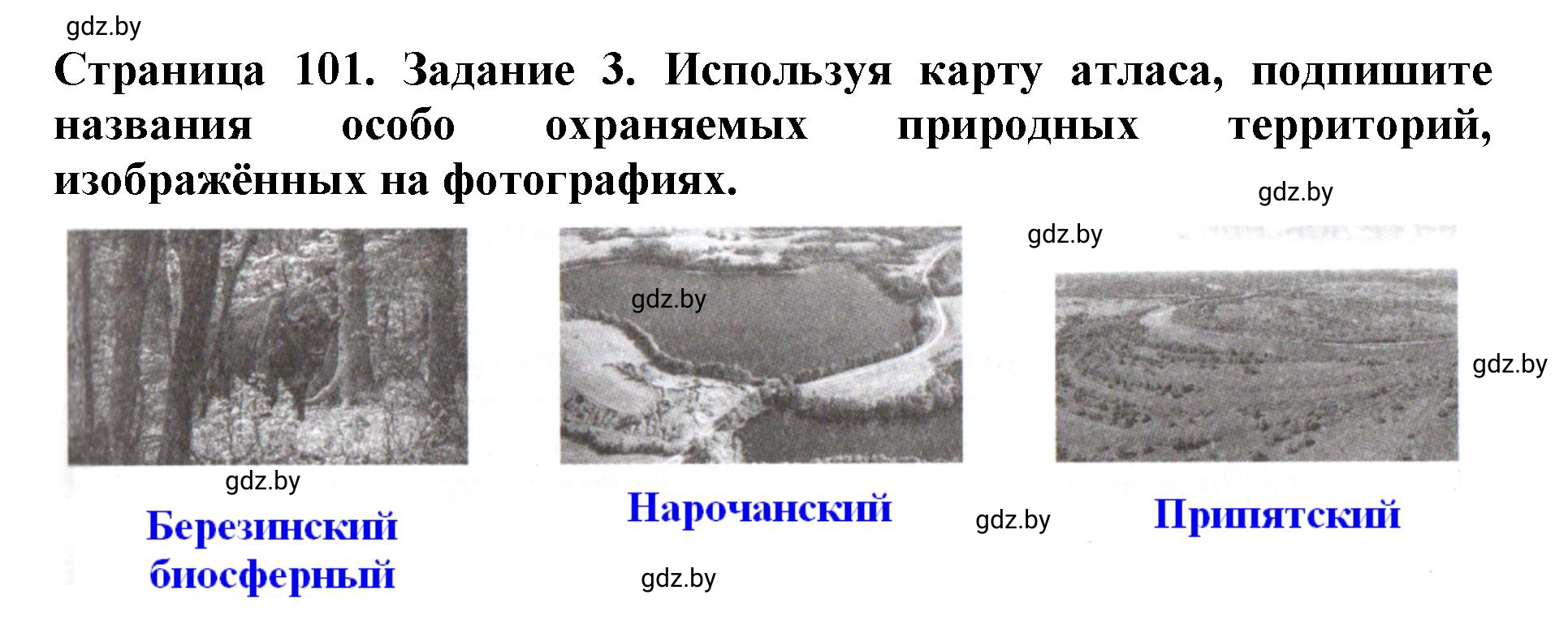 Решение номер 3 (страница 101) гдз по человек и миру 5 класс Кольмакова, Сарычева, рабочая тетрадь