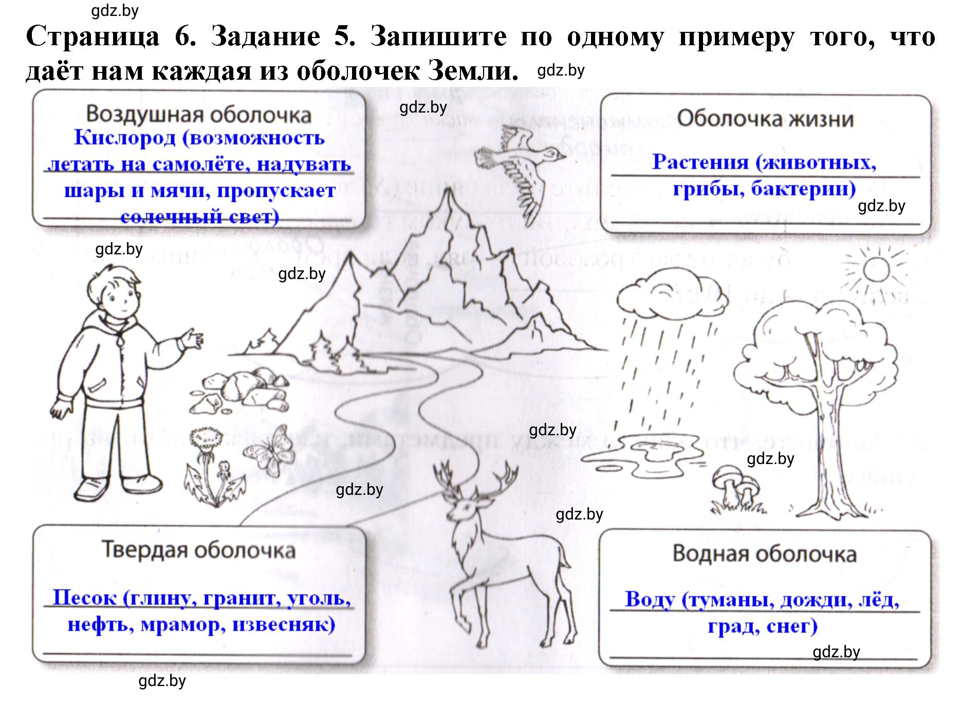 Решение номер 5 (страница 6) гдз по человек и миру 5 класс Лопух, Шкель, рабочая тетрадь