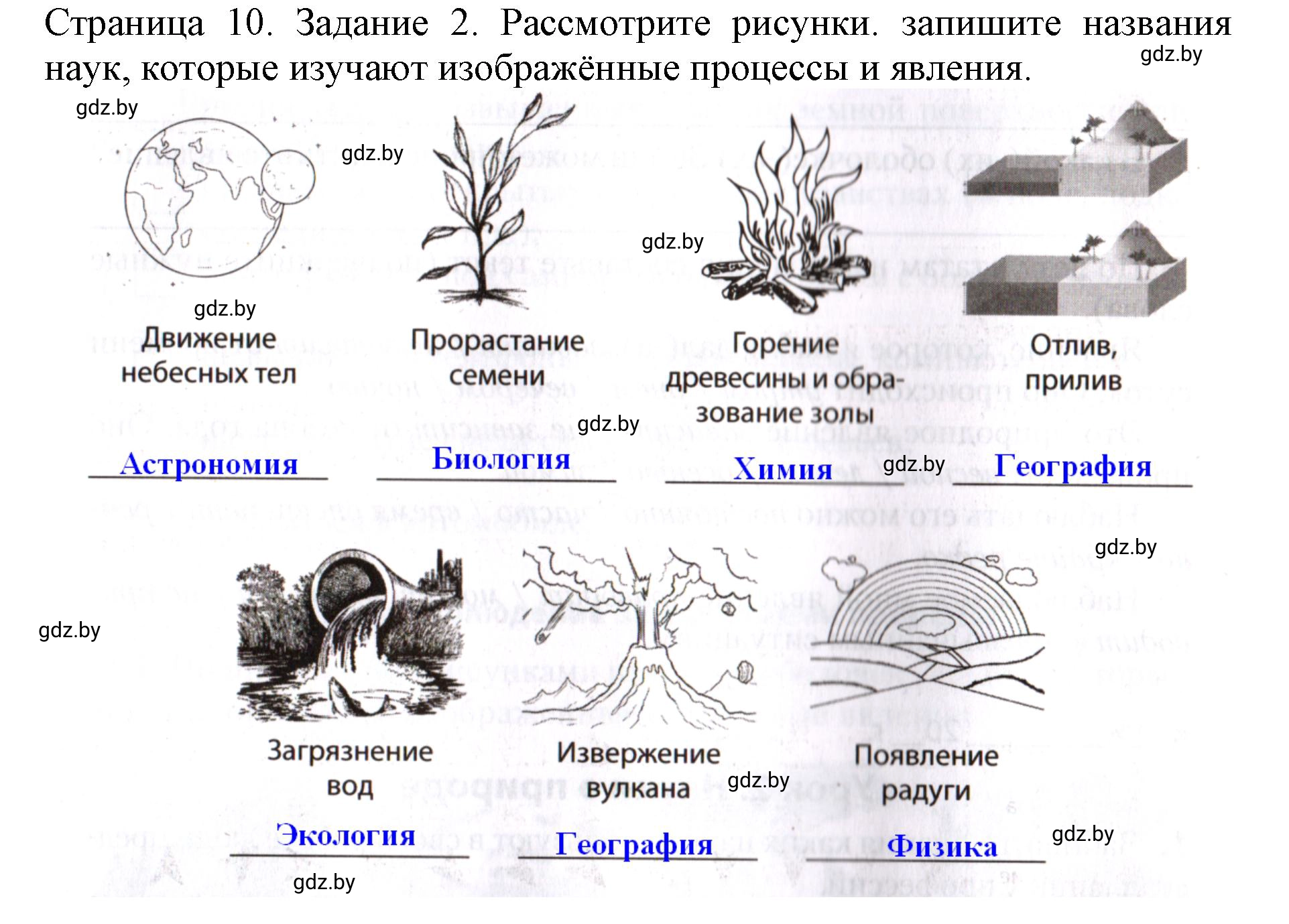 Решение номер 2 (страница 10) гдз по человек и миру 5 класс Лопух, Шкель, рабочая тетрадь