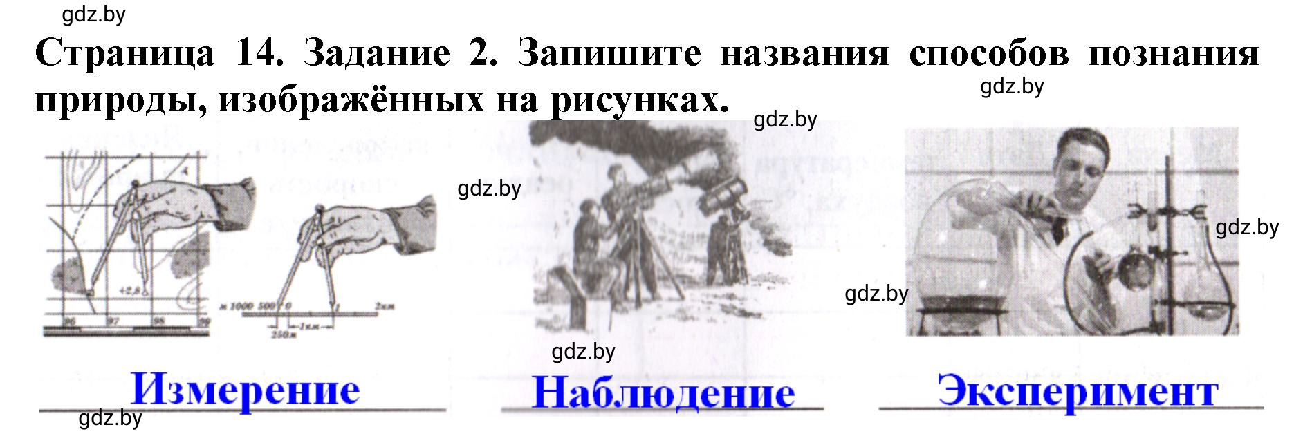 Решение номер 2 (страница 14) гдз по человек и миру 5 класс Лопух, Шкель, рабочая тетрадь