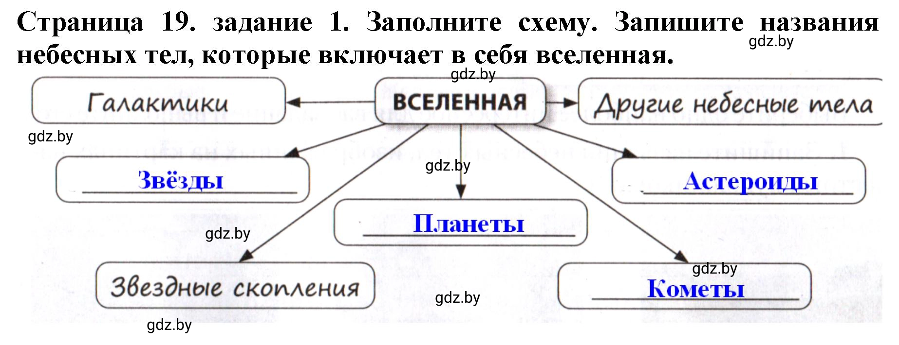 Решение номер 1 (страница 19) гдз по человек и миру 5 класс Лопух, Шкель, рабочая тетрадь