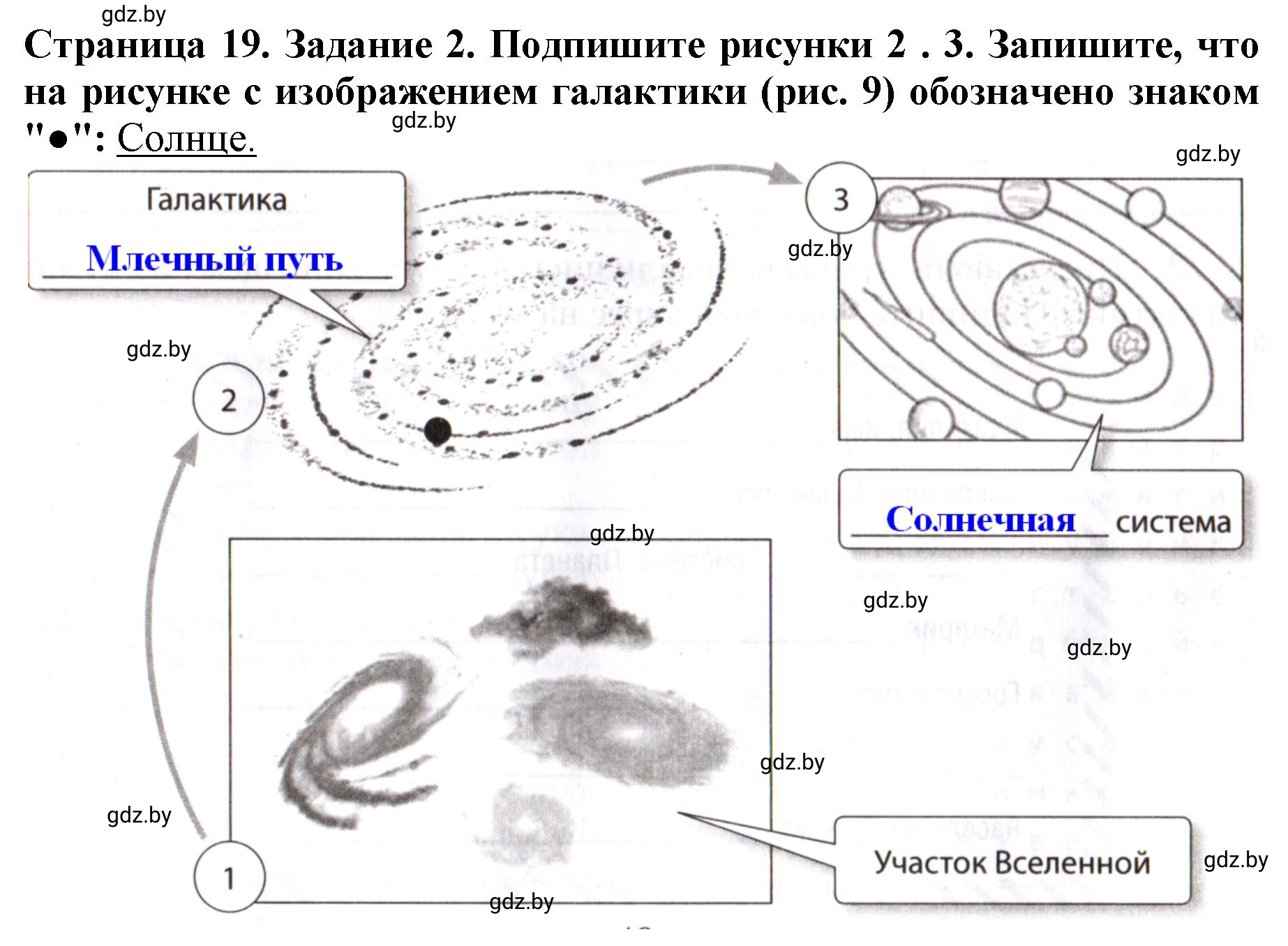 Решение номер 2 (страница 19) гдз по человек и миру 5 класс Лопух, Шкель, рабочая тетрадь