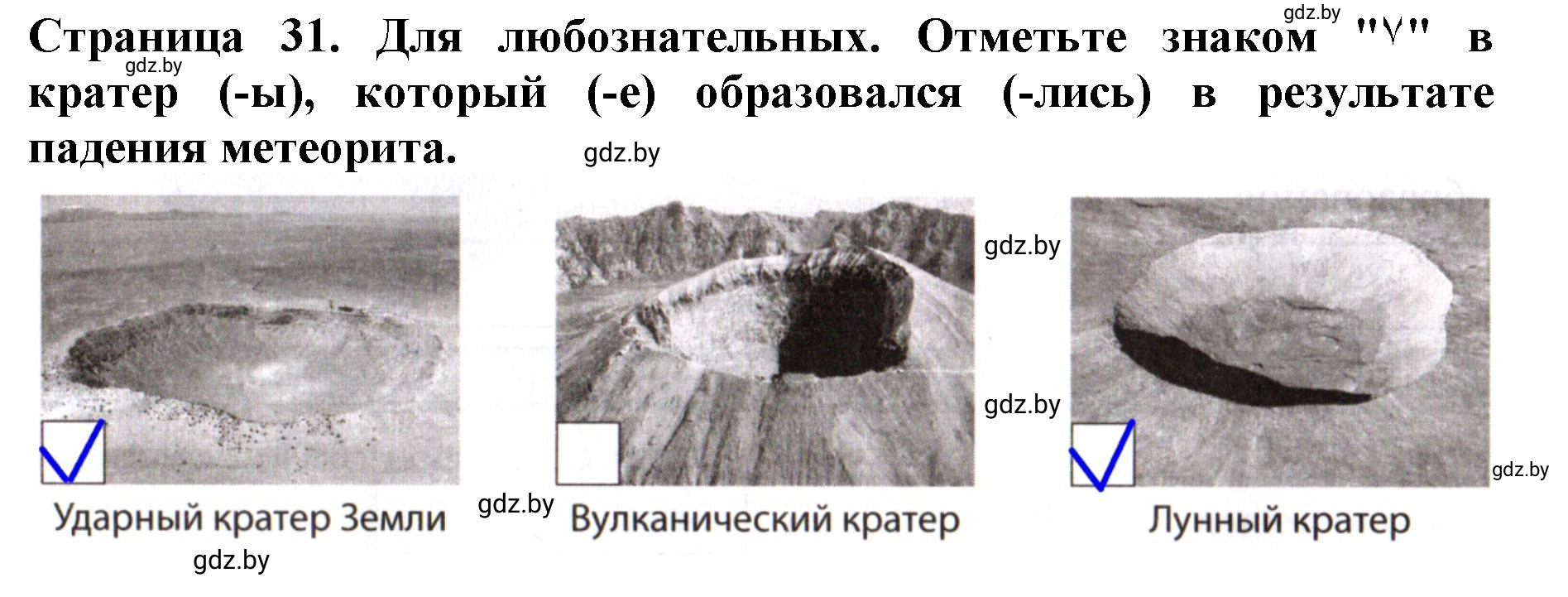 Решение номер 1 (страница 31) гдз по человек и миру 5 класс Лопух, Шкель, рабочая тетрадь