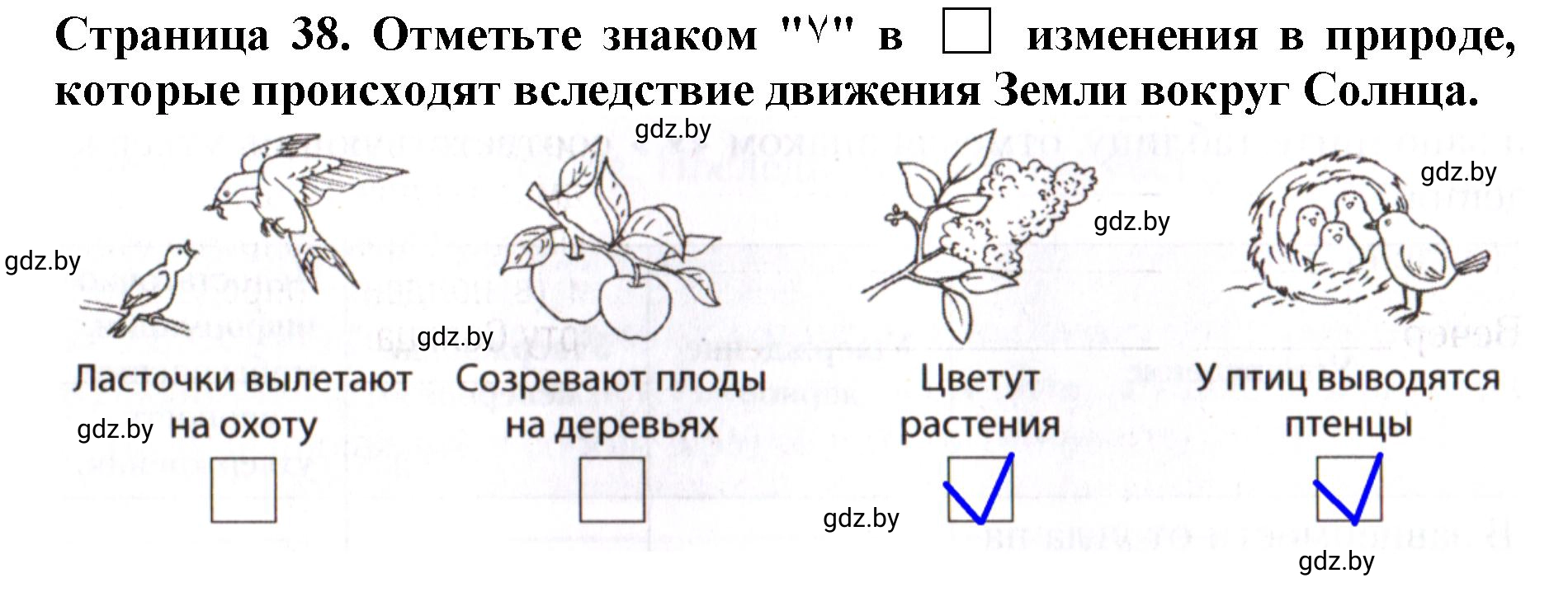 Решение номер 6 (страница 38) гдз по человек и миру 5 класс Лопух, Шкель, рабочая тетрадь