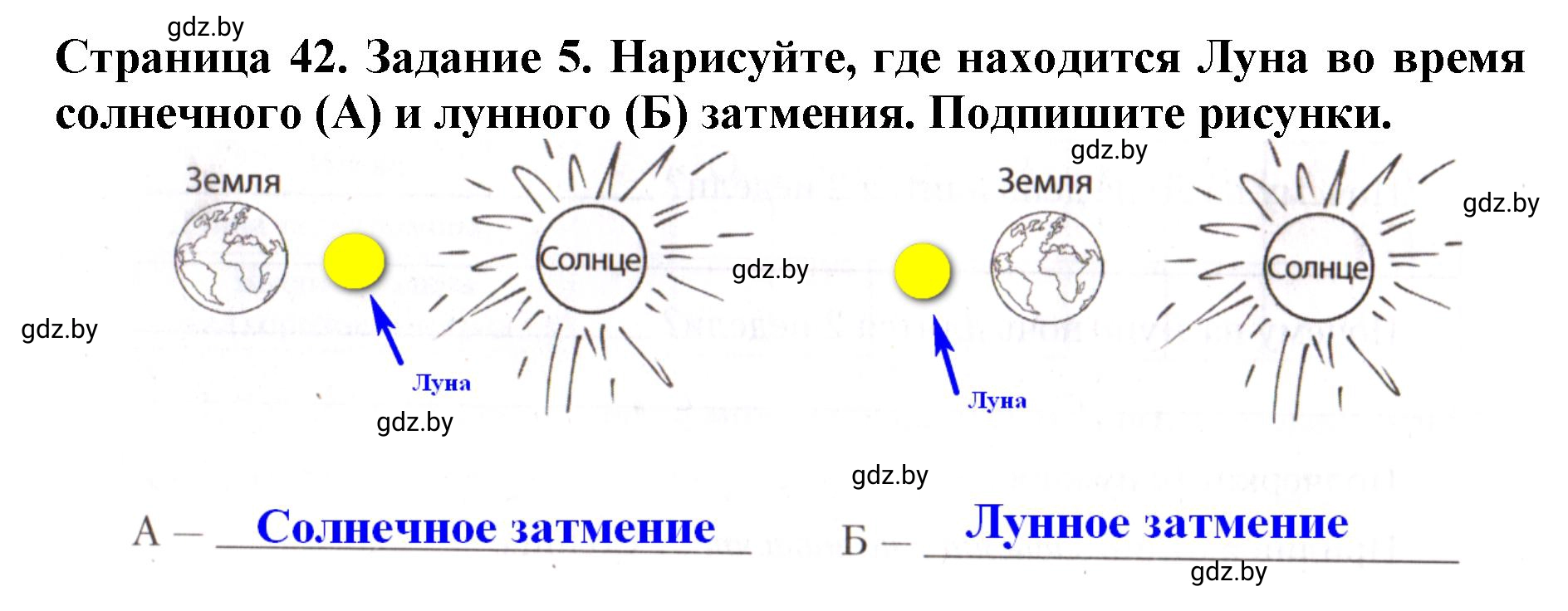 Решение номер 5 (страница 42) гдз по человек и миру 5 класс Лопух, Шкель, рабочая тетрадь