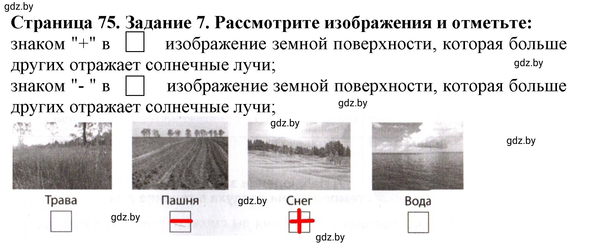 Решение номер 7 (страница 75) гдз по человек и миру 5 класс Лопух, Шкель, рабочая тетрадь