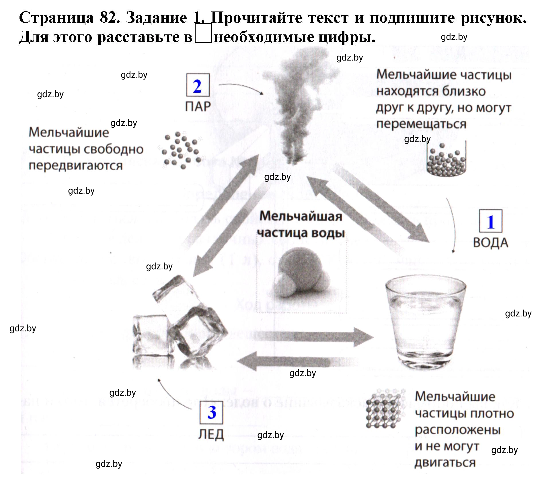 Решение номер 1 (страница 82) гдз по человек и миру 5 класс Лопух, Шкель, рабочая тетрадь