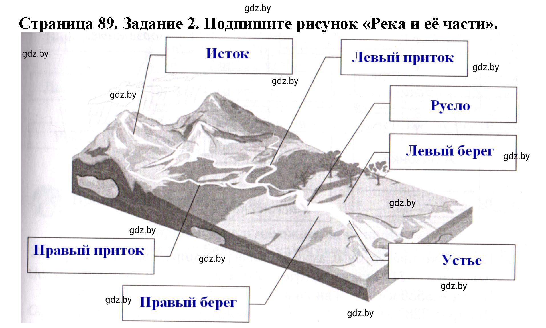 Решение номер 2 (страница 89) гдз по человек и миру 5 класс Лопух, Шкель, рабочая тетрадь