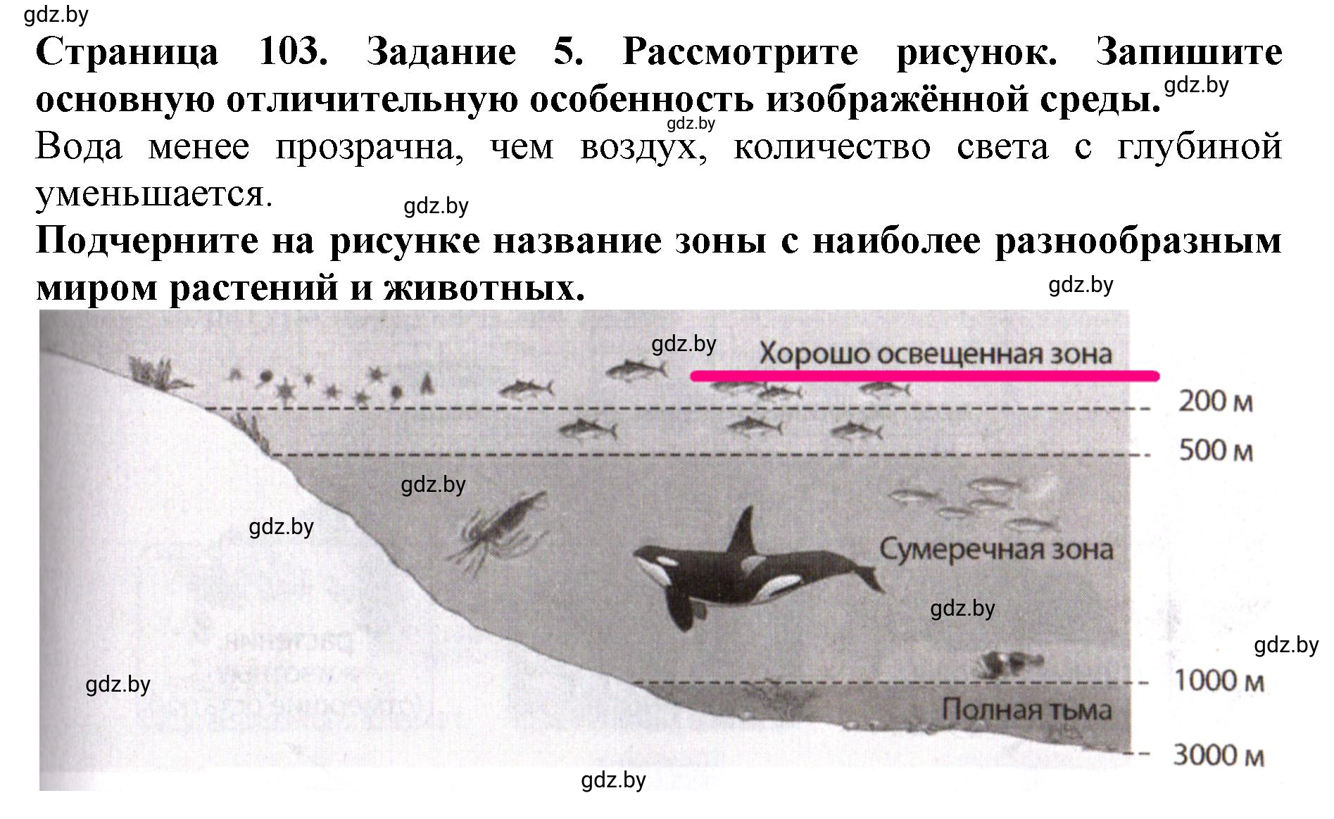 Решение номер 5 (страница 103) гдз по человек и миру 5 класс Лопух, Шкель, рабочая тетрадь