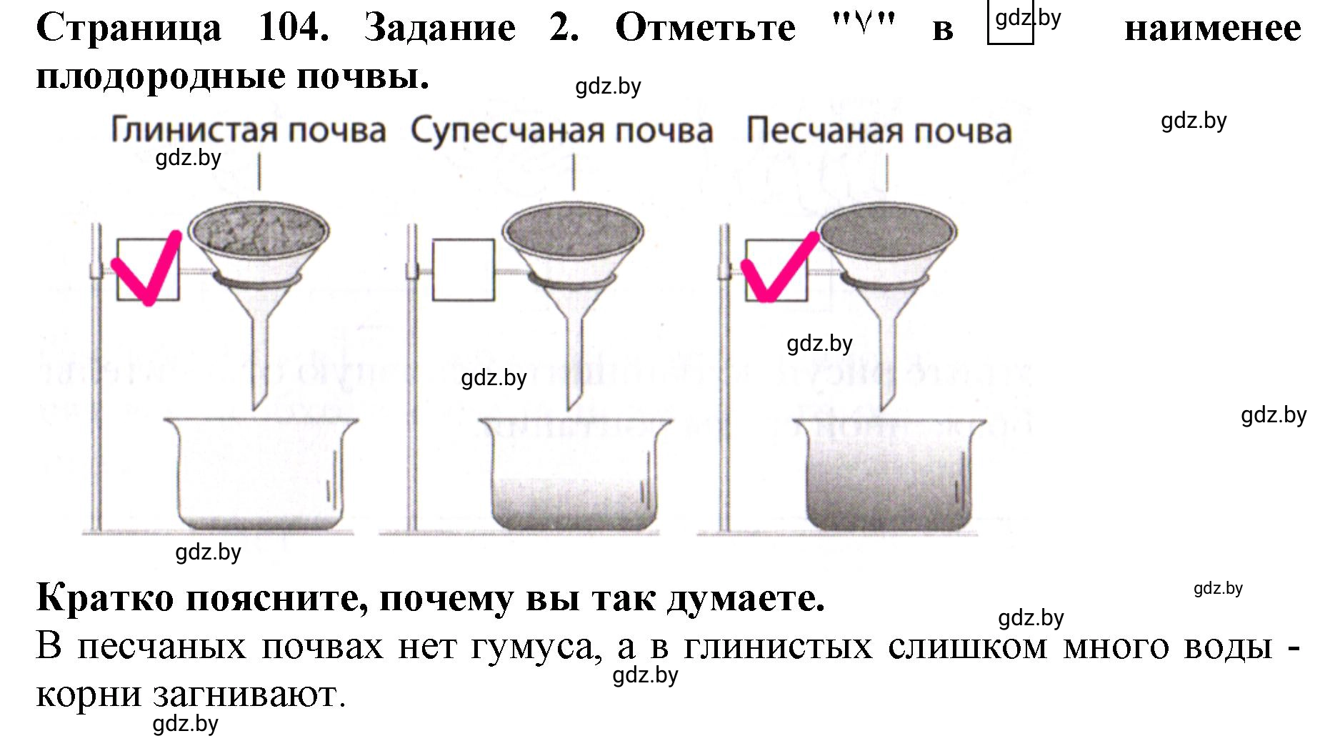 Решение номер 2 (страница 104) гдз по человек и миру 5 класс Лопух, Шкель, рабочая тетрадь