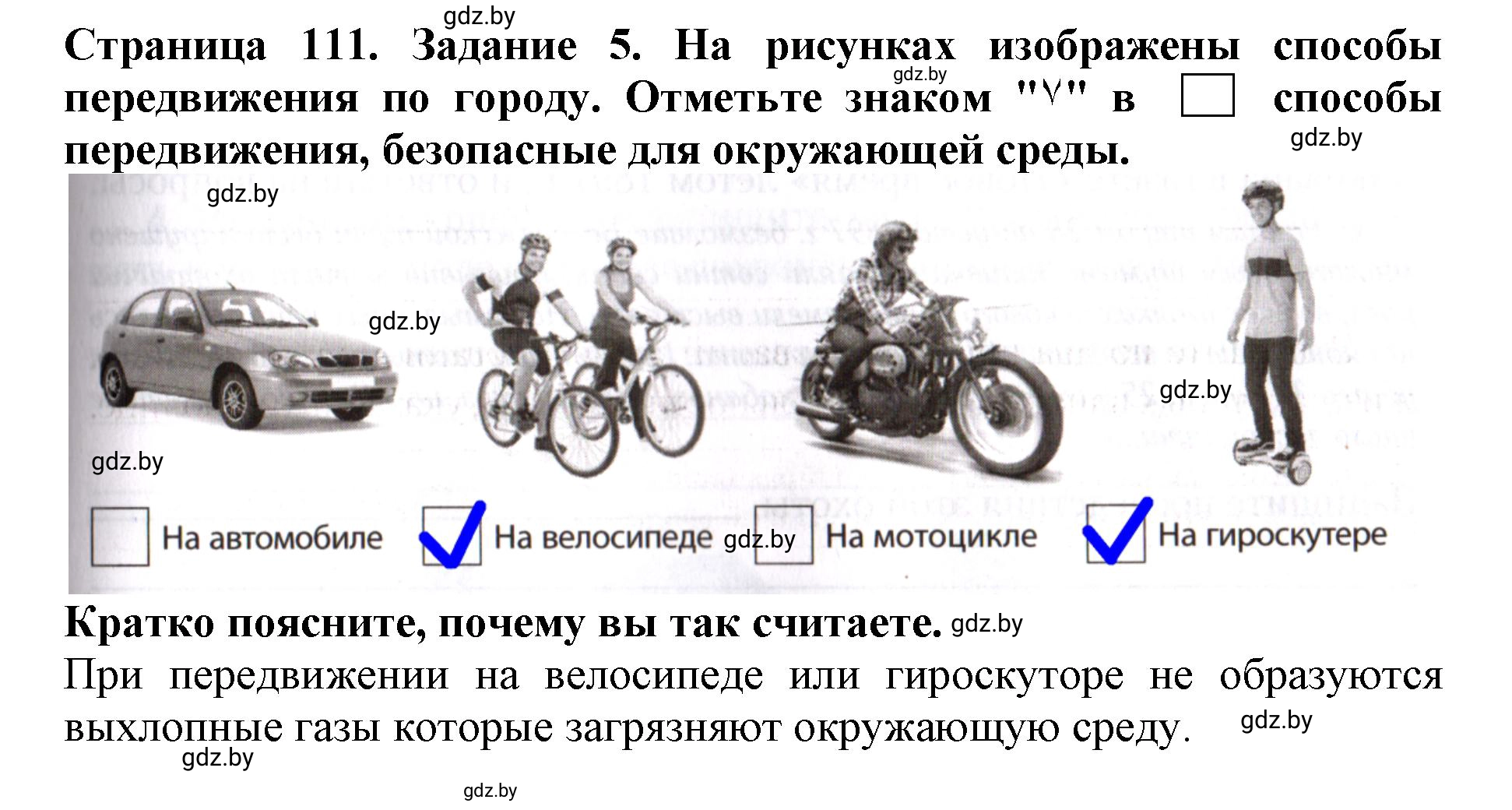 Решение номер 5 (страница 111) гдз по человек и миру 5 класс Лопух, Шкель, рабочая тетрадь