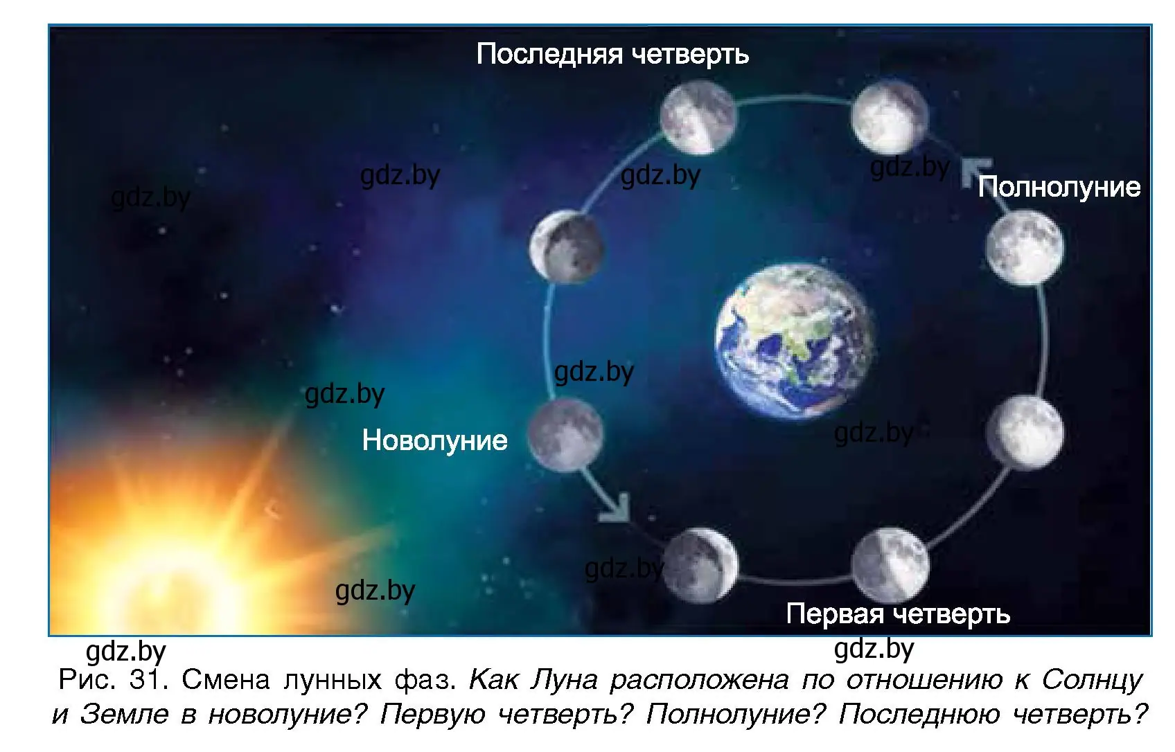 Условие  Вопросы внутри параграфа (страница 55) гдз по человек и миру 5 класс Лопух, Сарычева, учебник