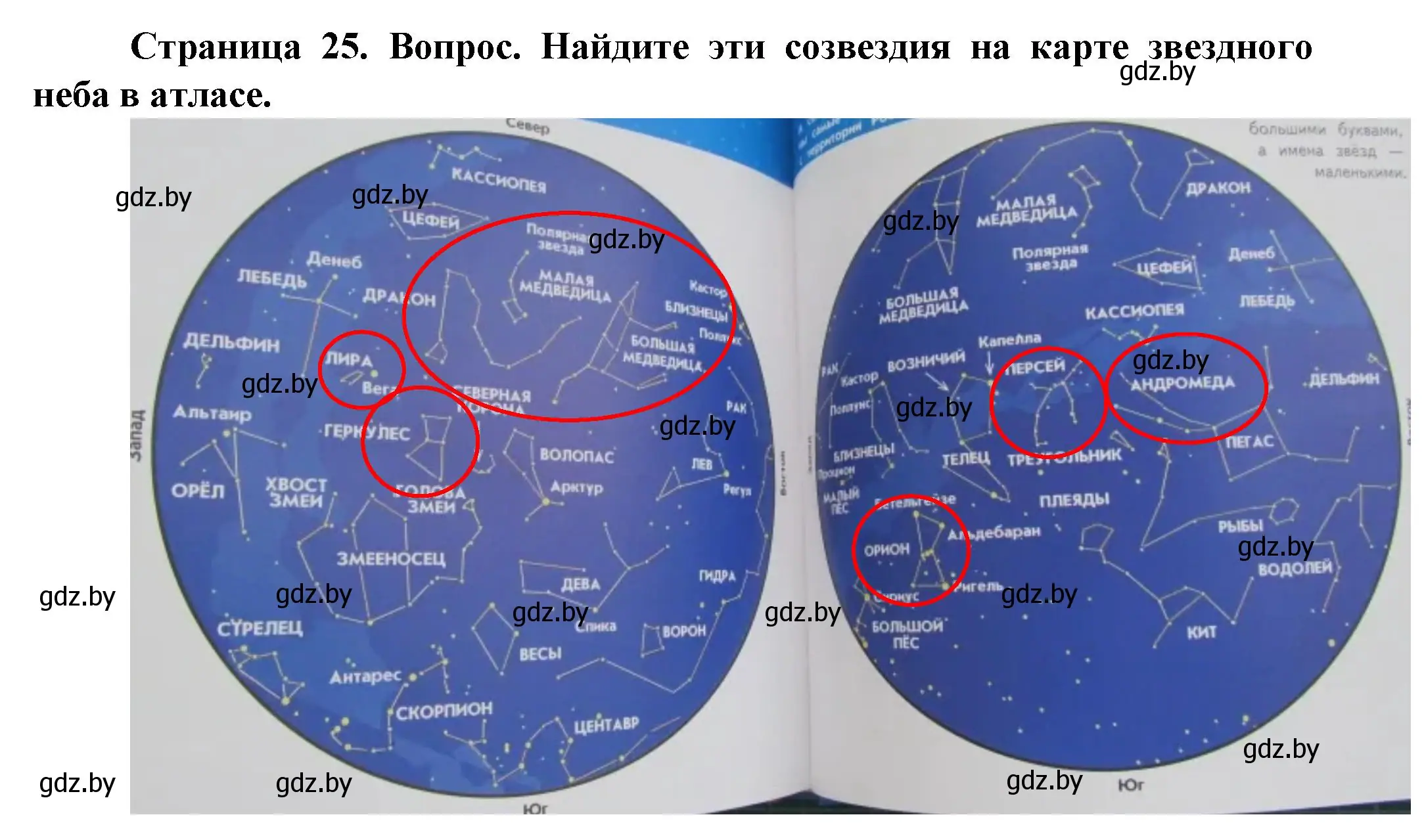 Решение номер 2 (страница 25) гдз по человек и миру 5 класс Лопух, Сарычева, учебник