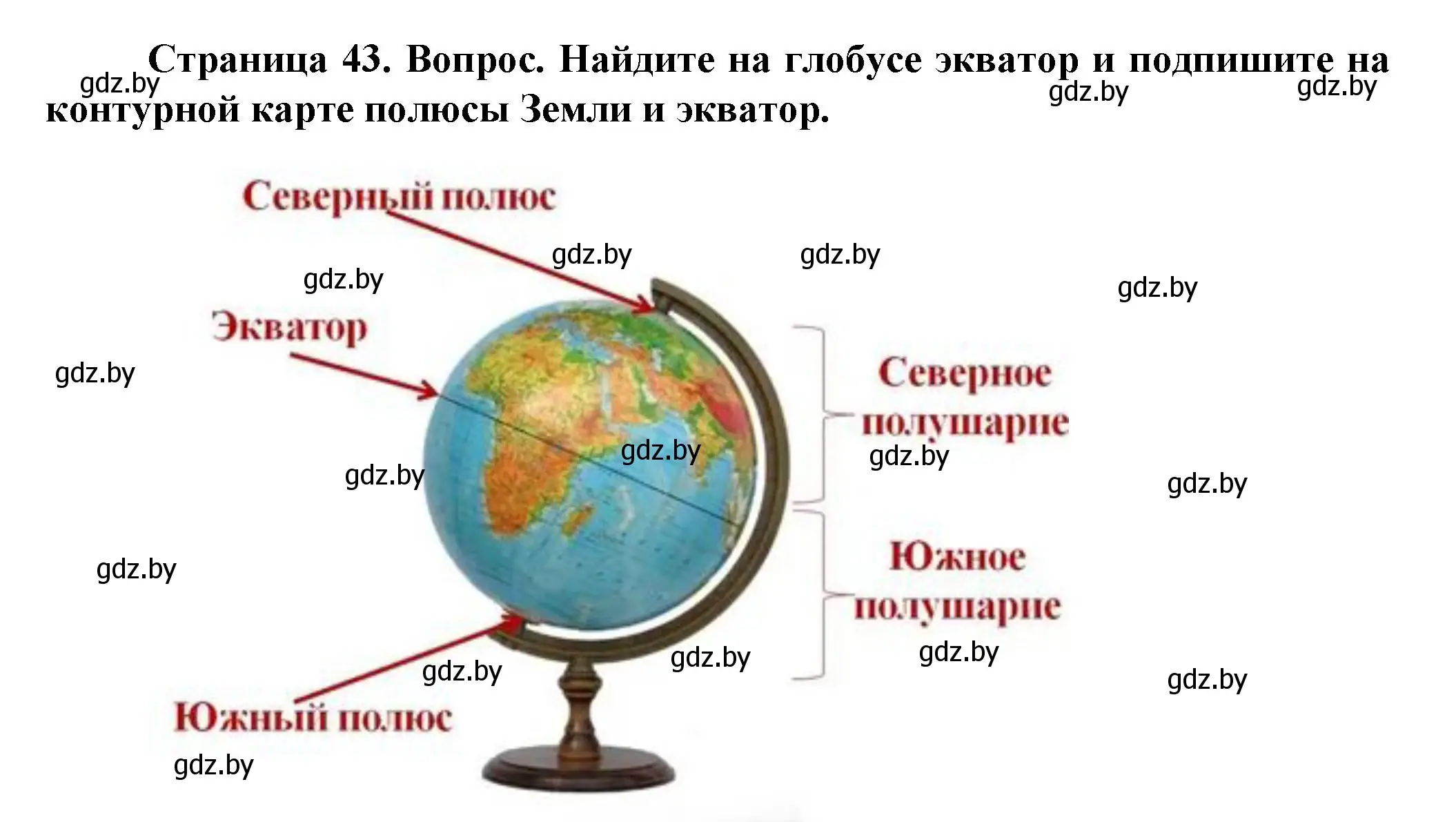 Решение номер 1 (страница 43) гдз по человек и миру 5 класс Лопух, Сарычева, учебник