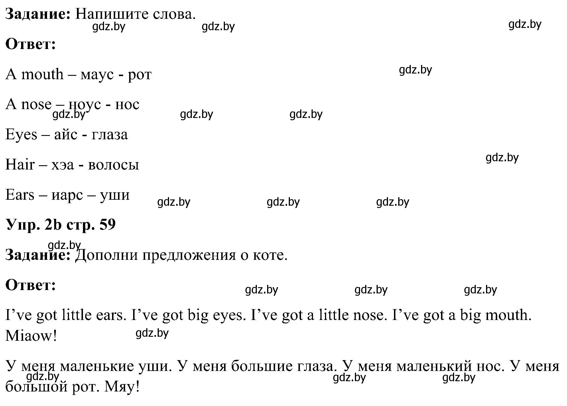 Решение номер 2 (страница 59) гдз по английскому языку 3 класс Лапицкая, Калишевич, практикум 1 часть