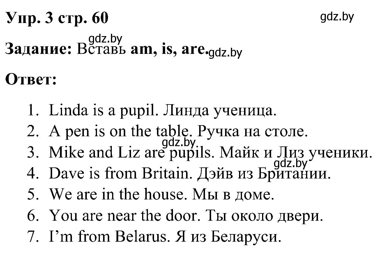 Решение номер 3 (страница 60) гдз по английскому языку 3 класс Лапицкая, Калишевич, практикум 2 часть