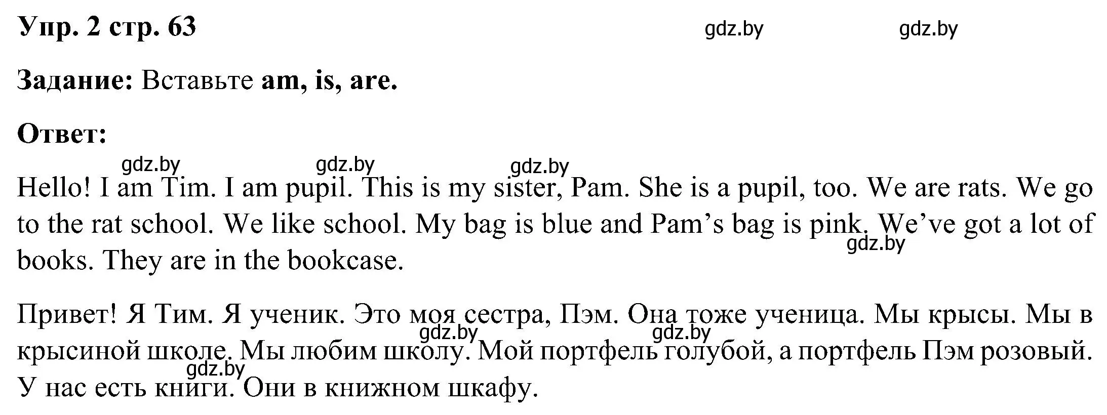 Решение номер 2 (страница 63) гдз по английскому языку 3 класс Лапицкая, Калишевич, практикум 2 часть